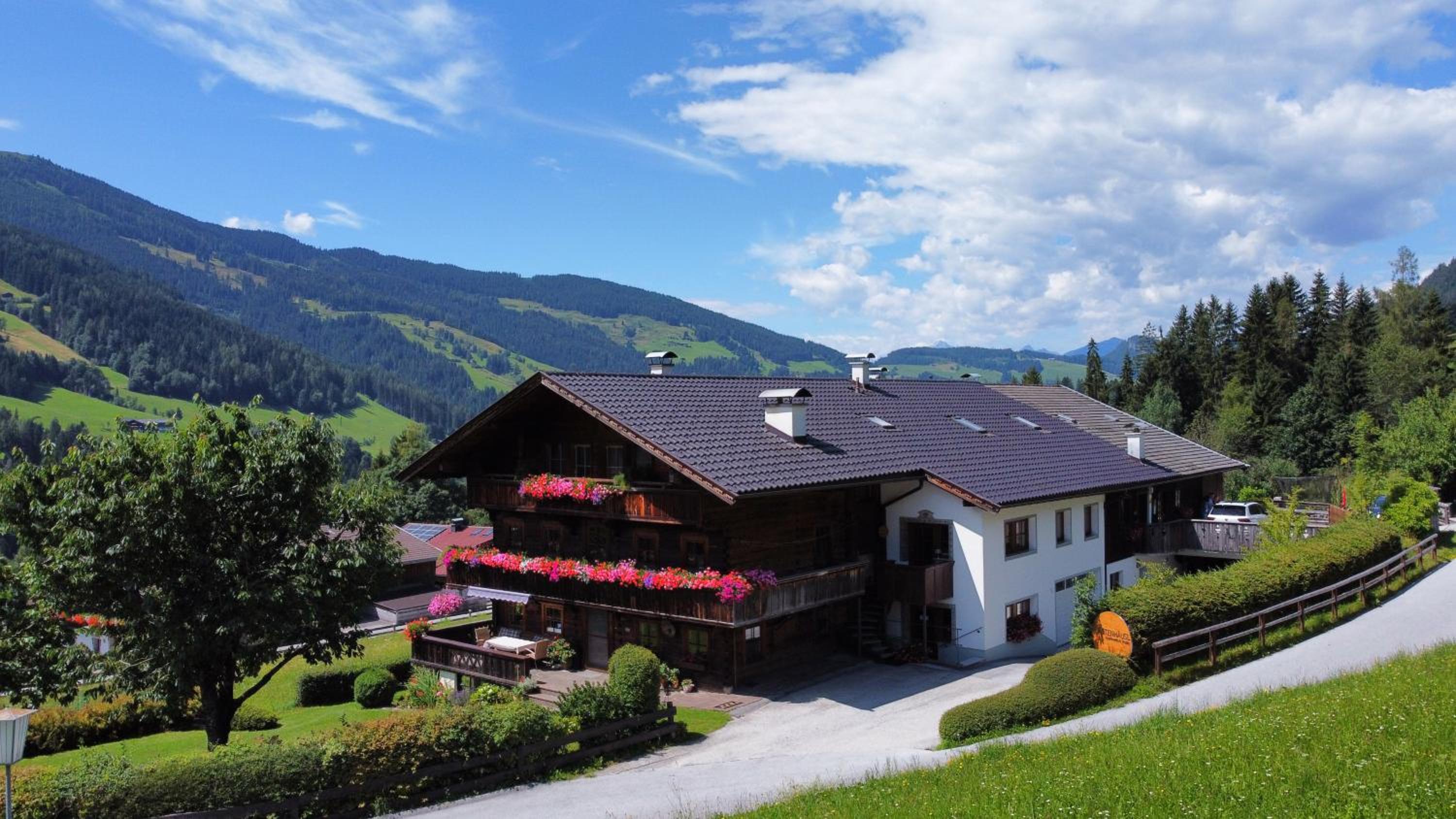 Fürstenhäusl Alpbach - GREEN Apartments & Studio