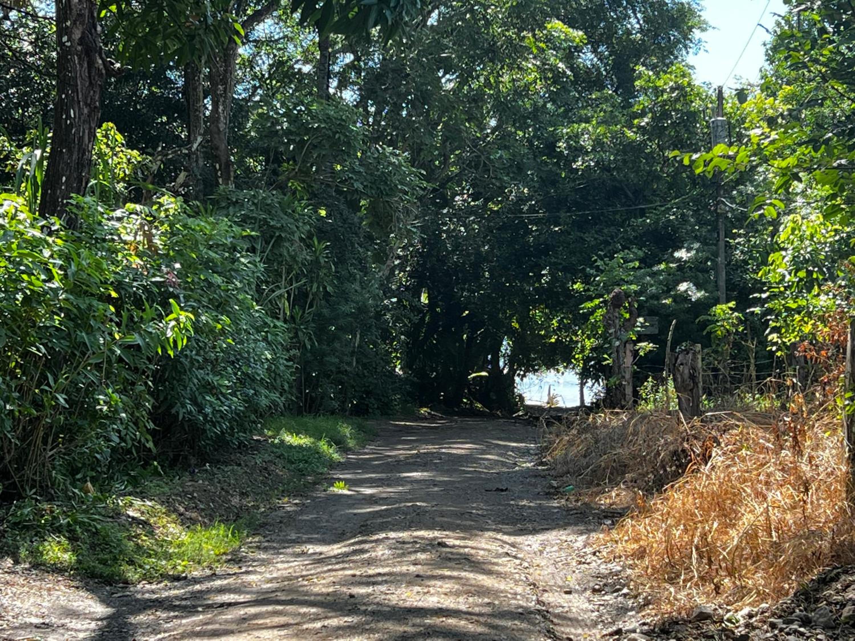 Las Plumas de Cabuya
