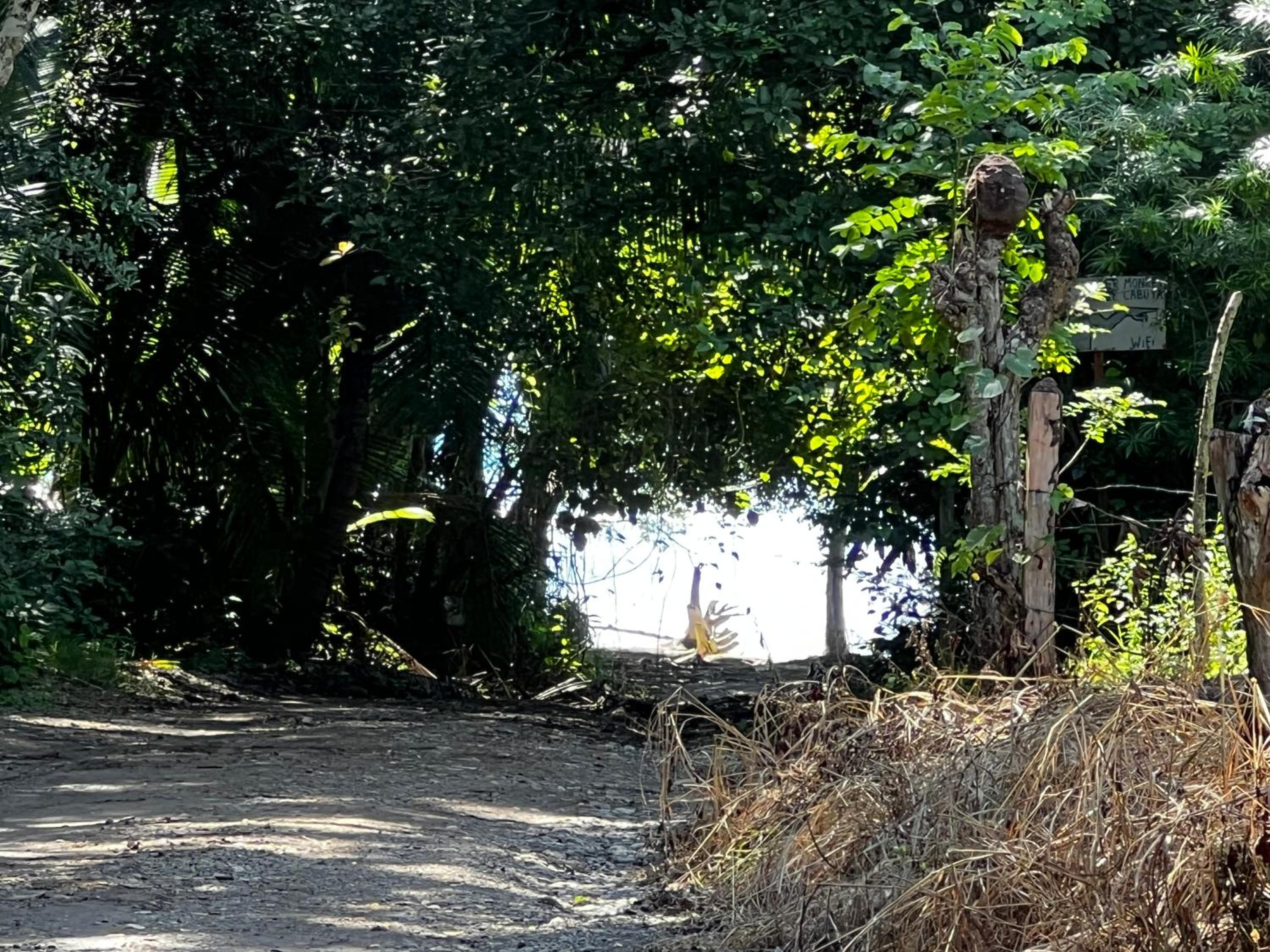 Las Plumas de Cabuya