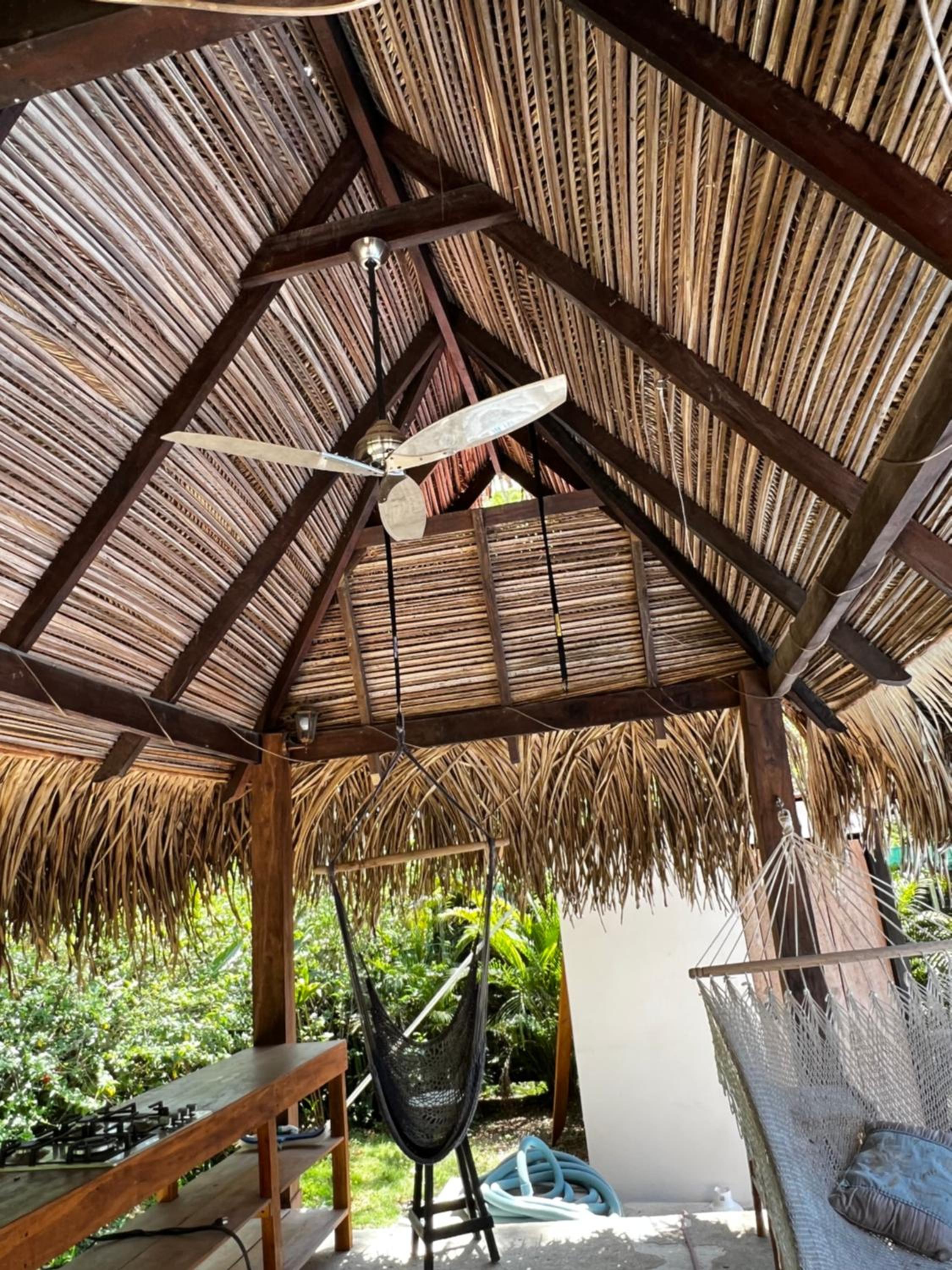 Las Plumas de Cabuya