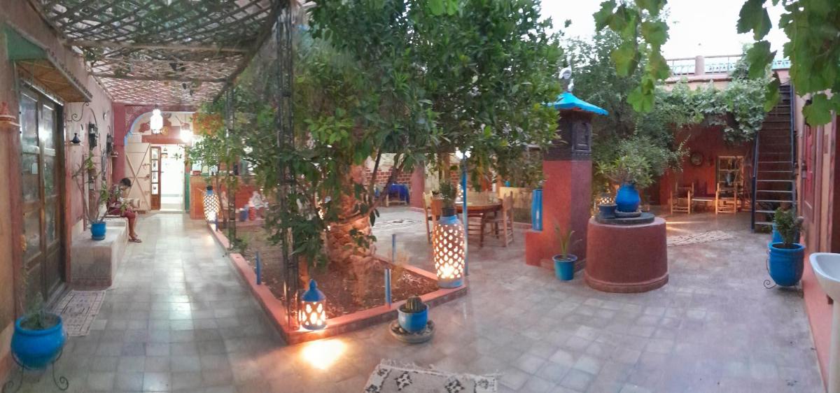 Riad Dades Birds