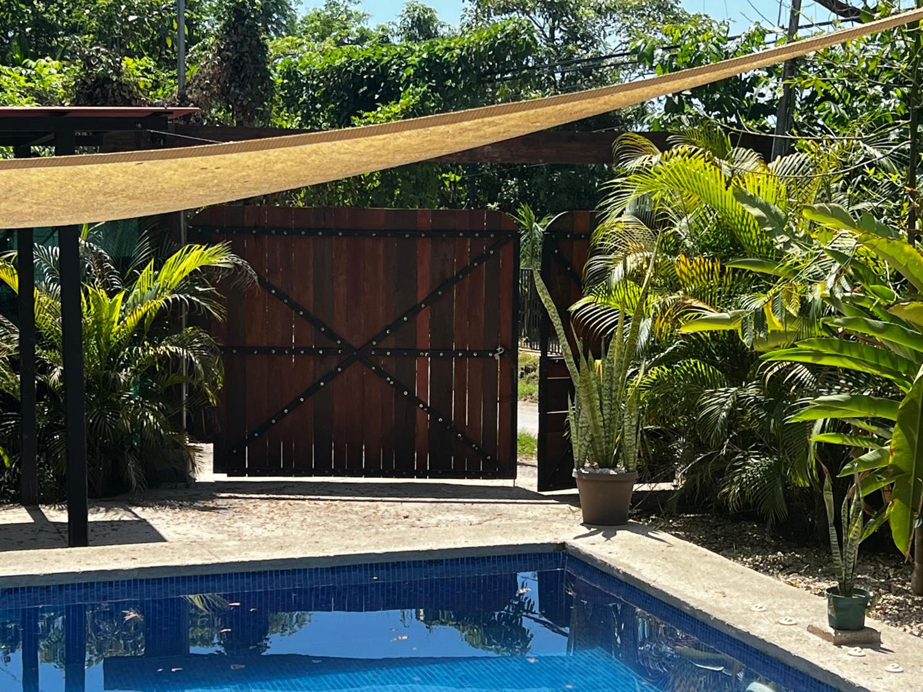 Las Plumas de Cabuya