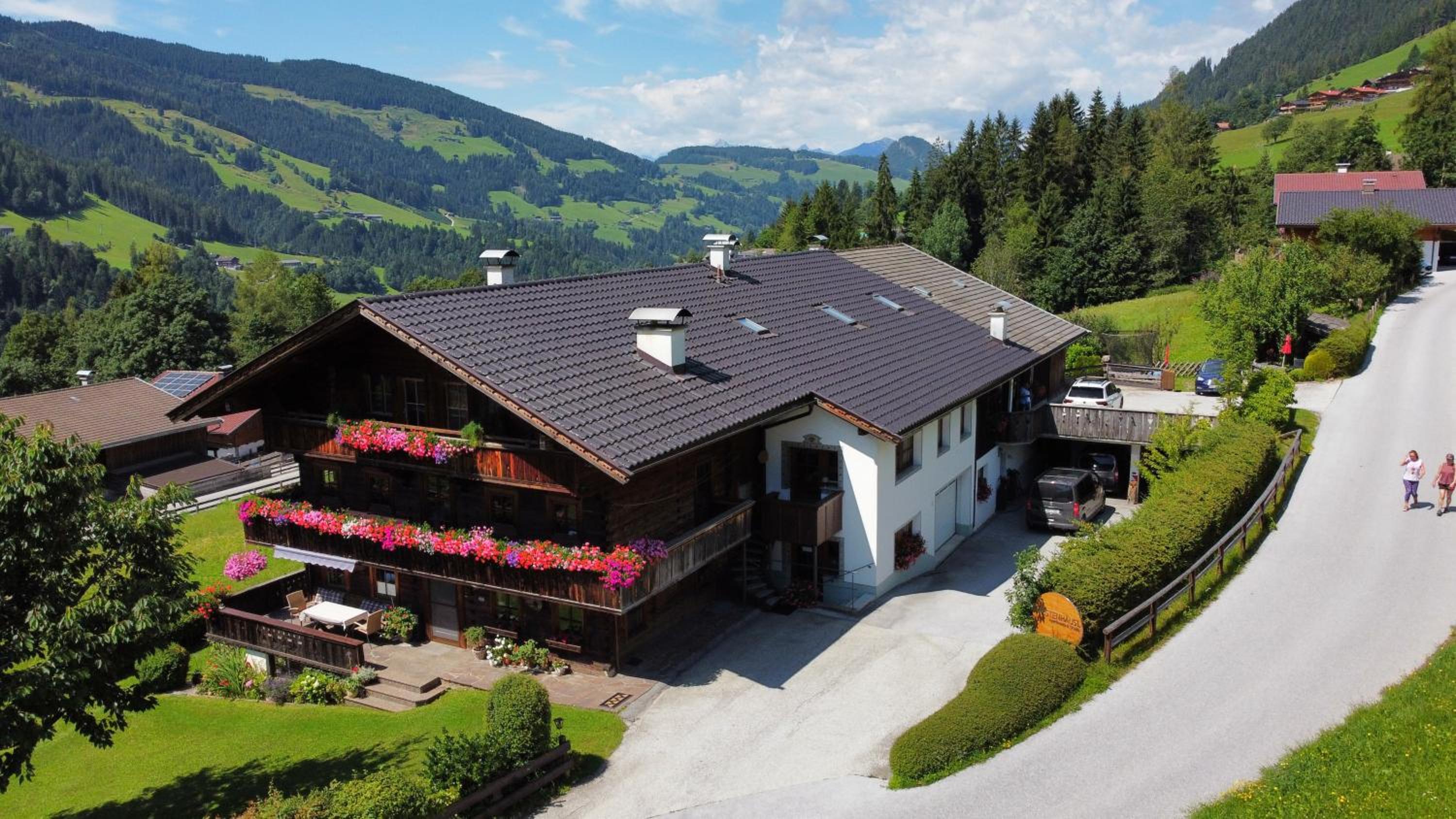 Fürstenhäusl Alpbach - GREEN Apartments & Studio