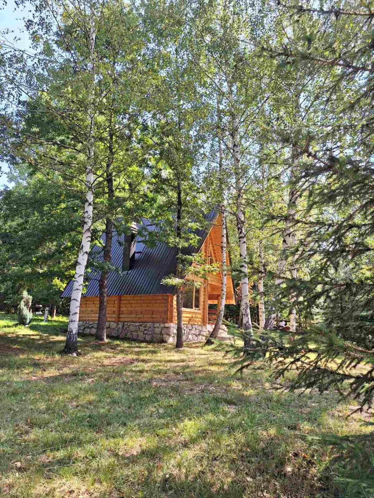 Photo 12