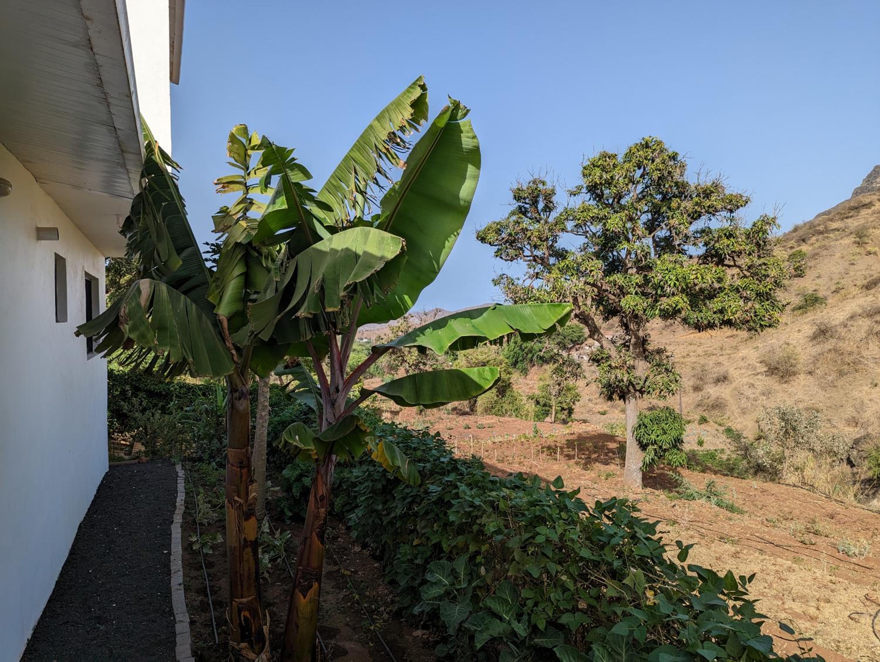 Finca Pedra Molar