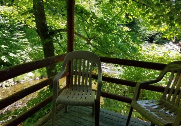 Seven Dwarfs Motel & Cabins