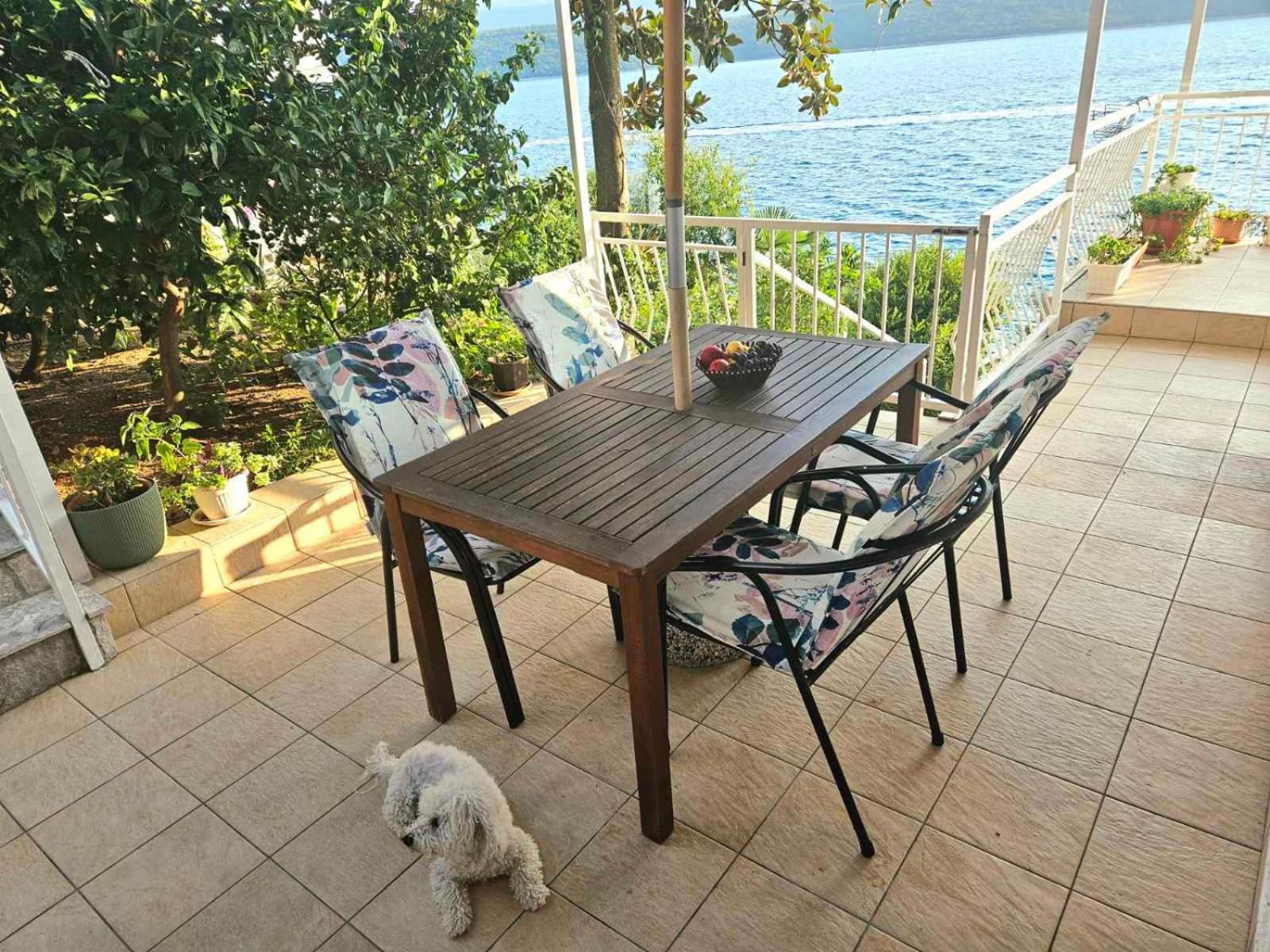 Orange Tree Mediterranean Beachfront House
