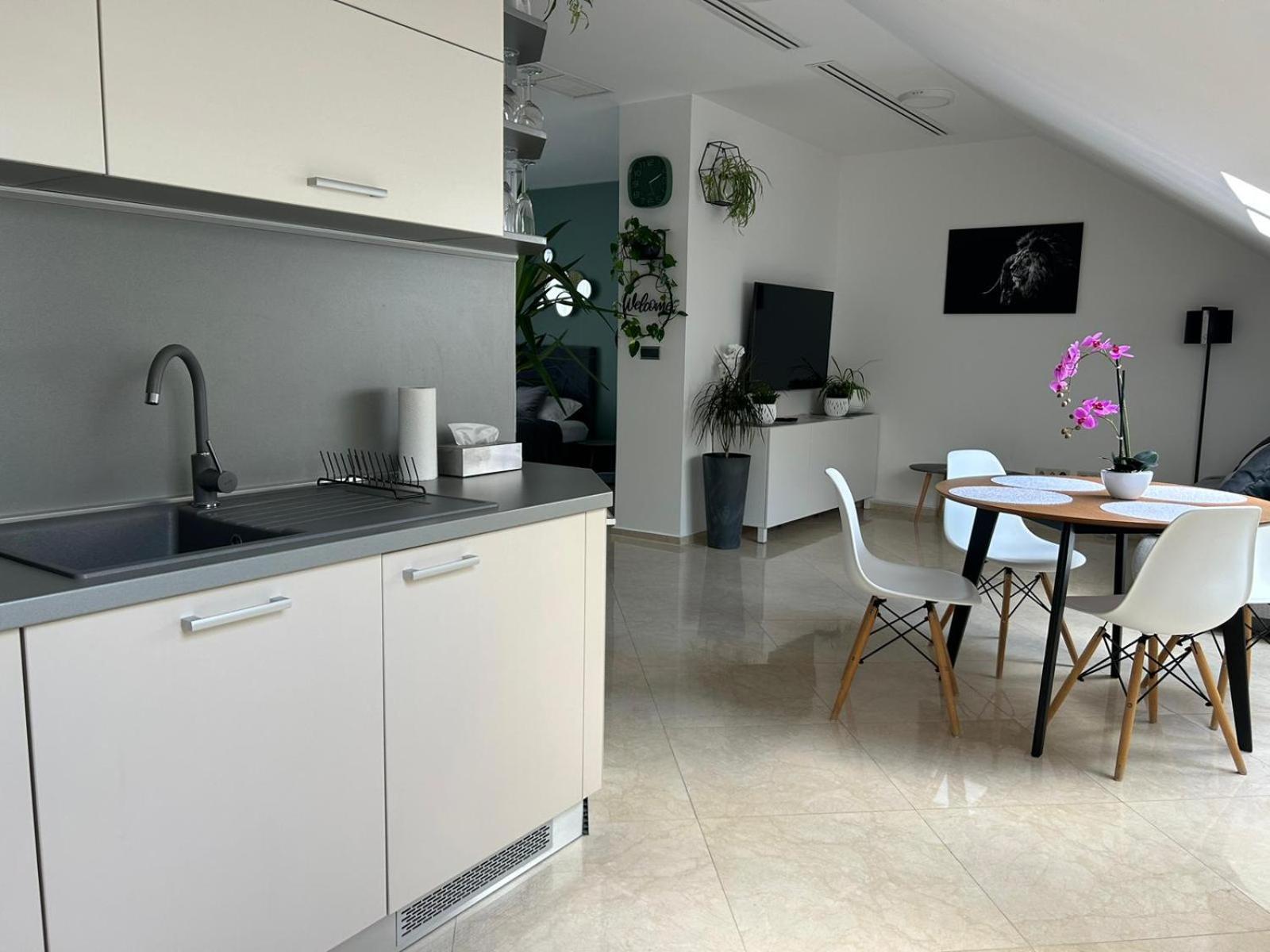 LEO Apartment FREE PARKING - President Palace