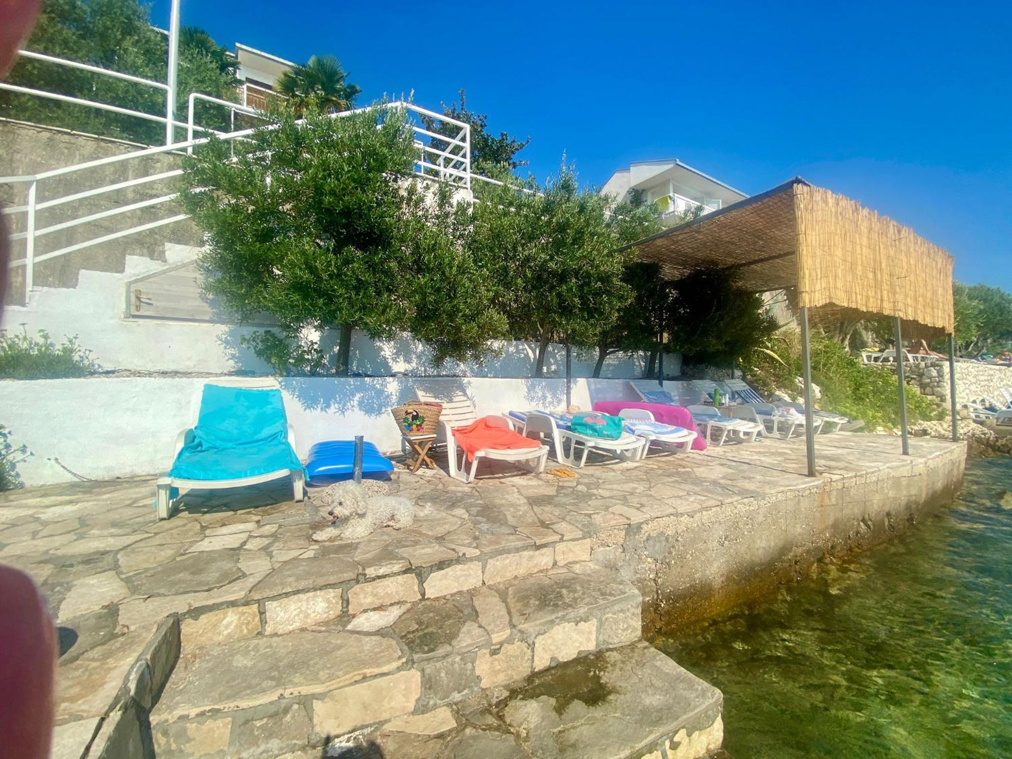 Orange Tree Mediterranean Beachfront House
