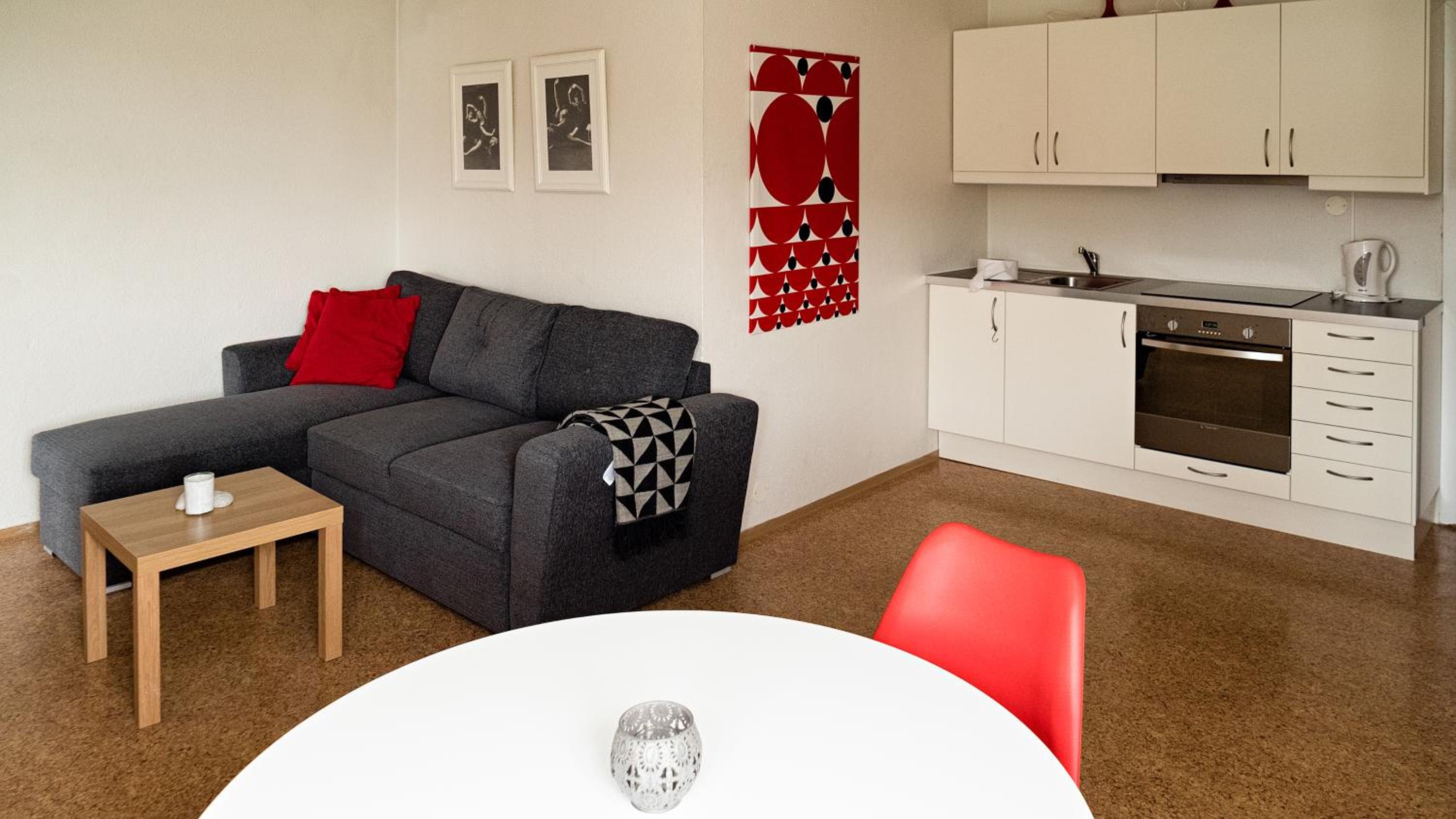 Framtid Apartments and Holiday Homes