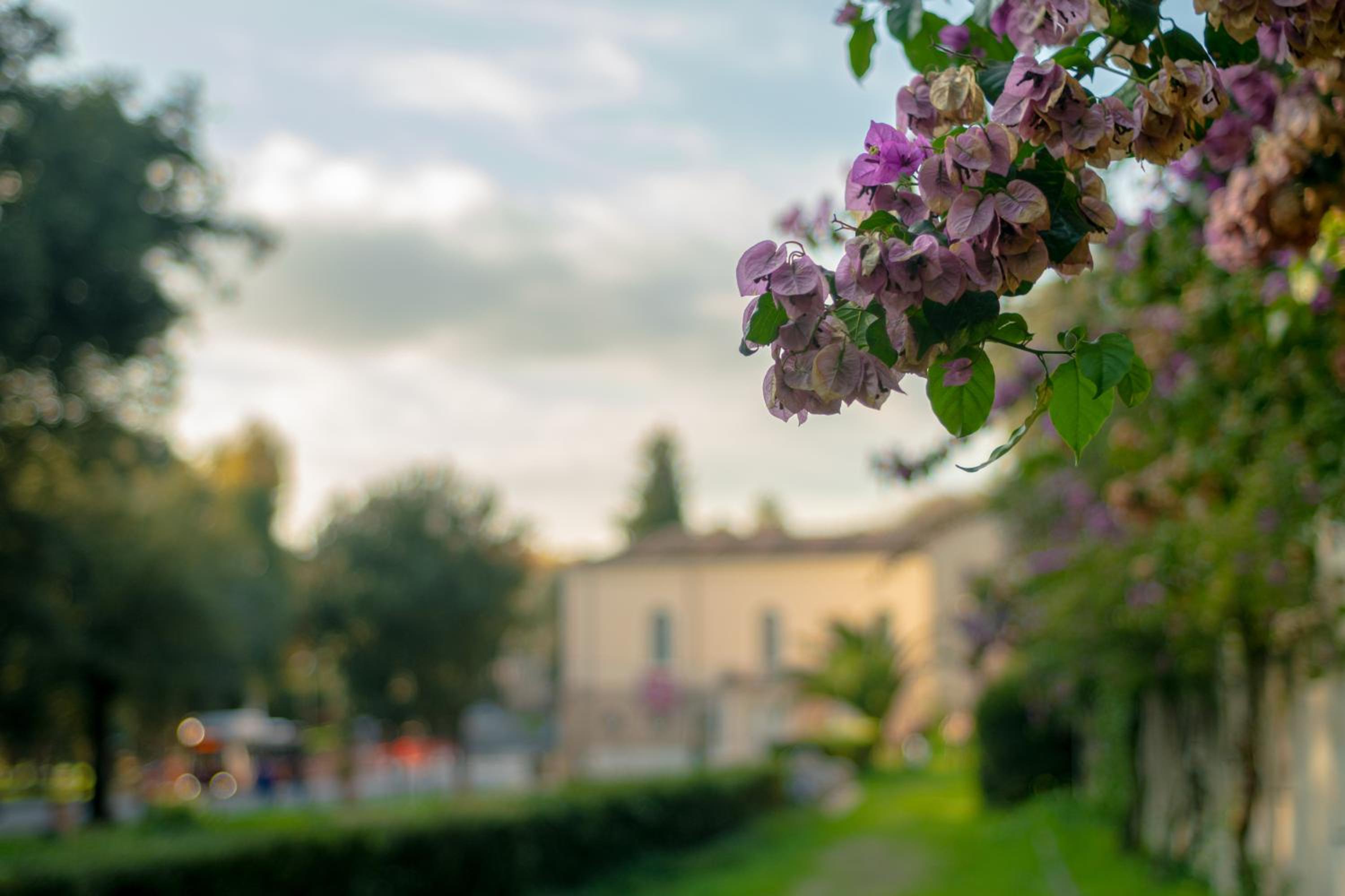 Borghese Magnolia Suite