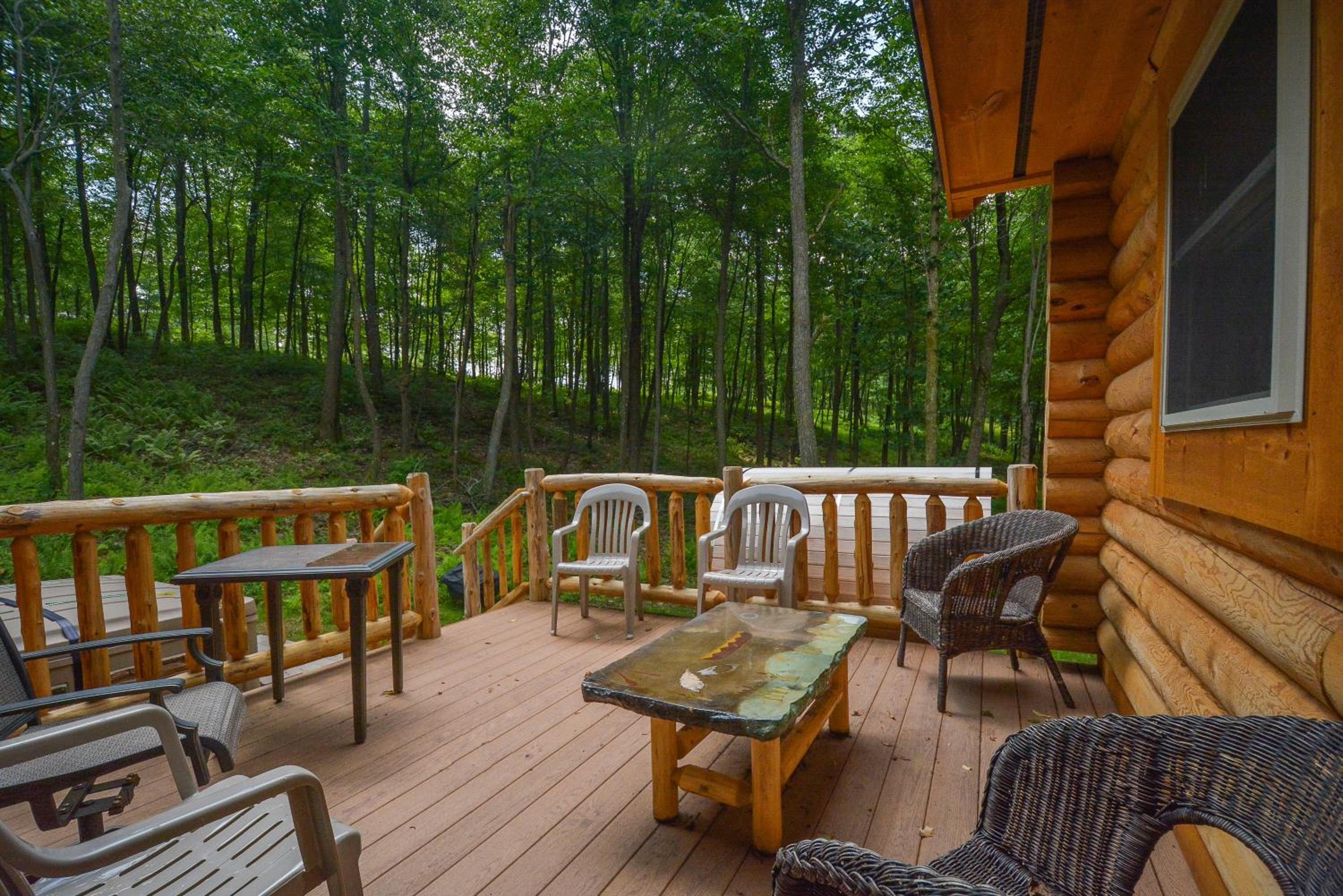 Big Log Lodge view 3