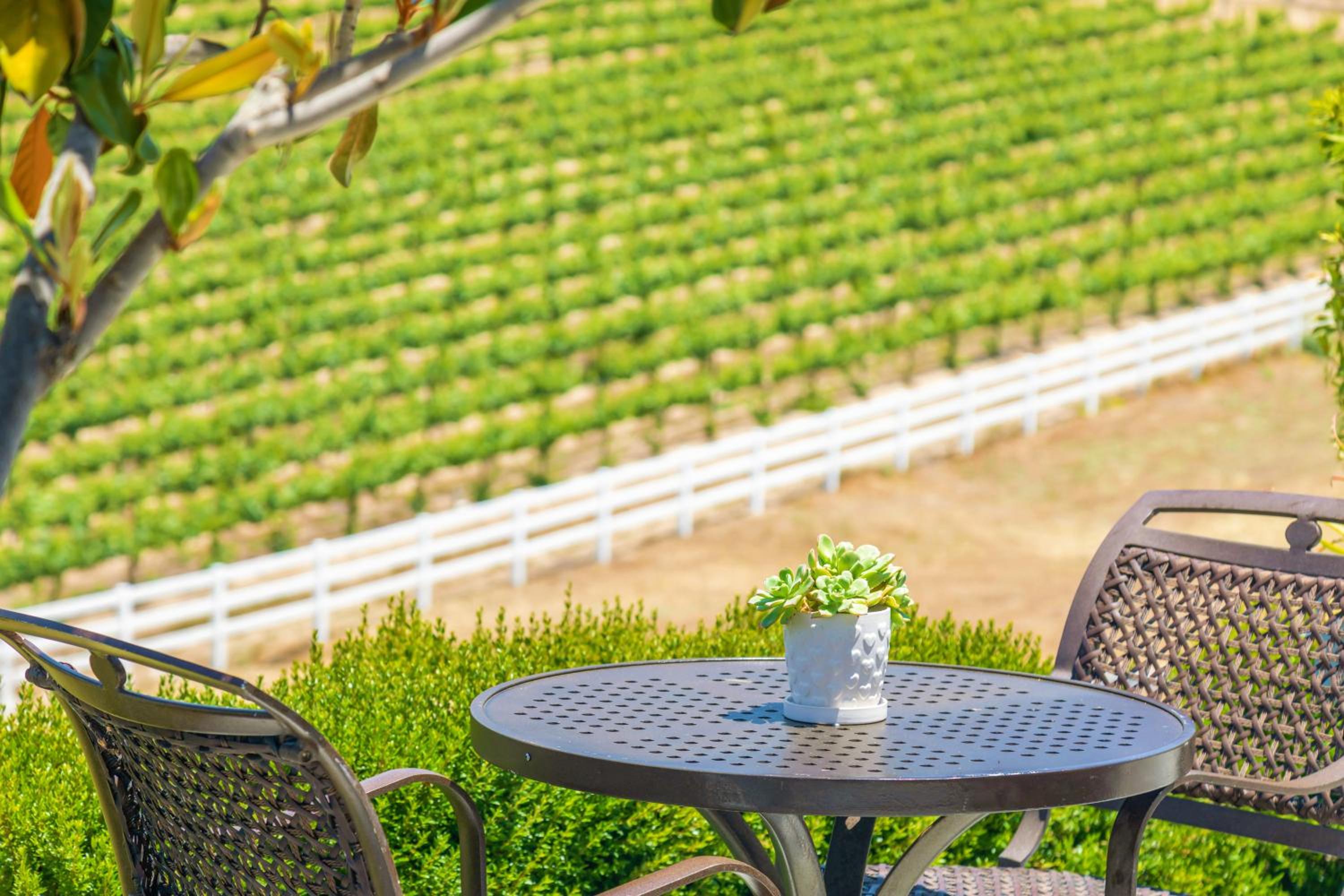 Hotel Gaia Inn & Spa- Adult Only- Temecula Wine Country - Image 1