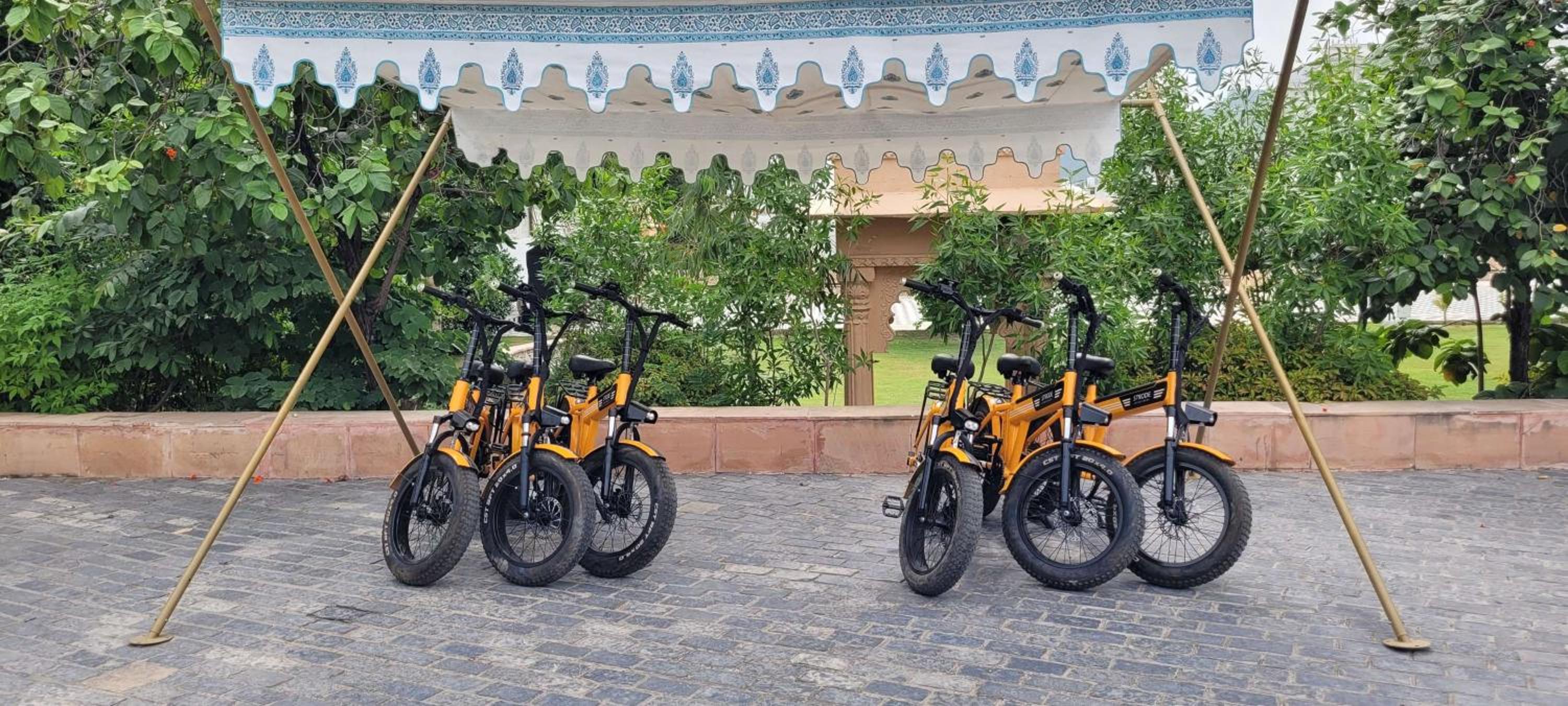 Radisson Blu Udaipur Palace Resort & Spa 照片第 178 張,共 205 張
