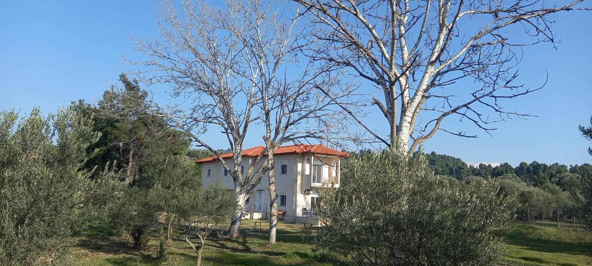 Photo 22