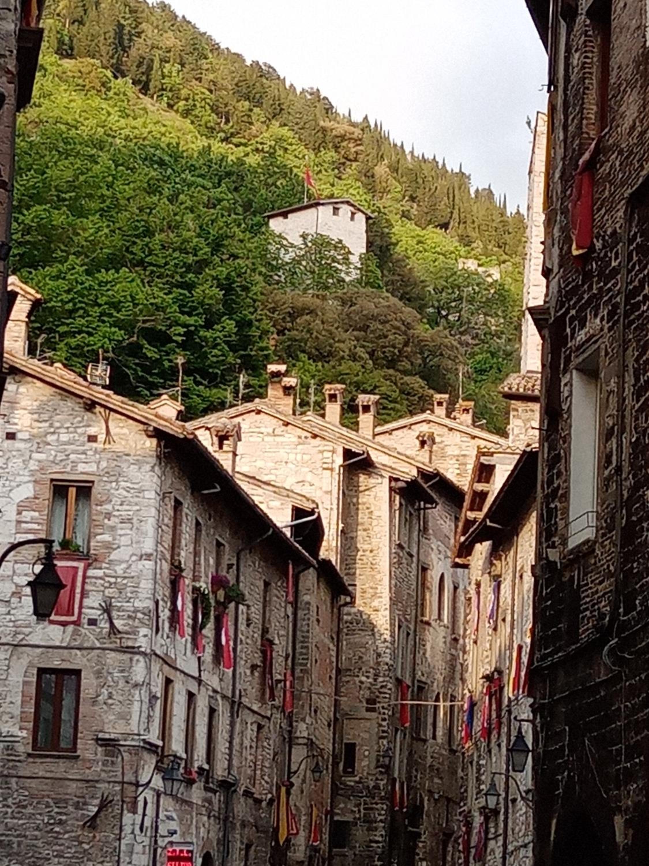 Photo 28