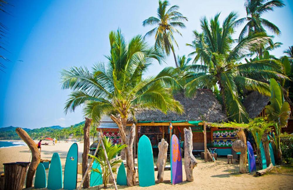 Tropical Oasis