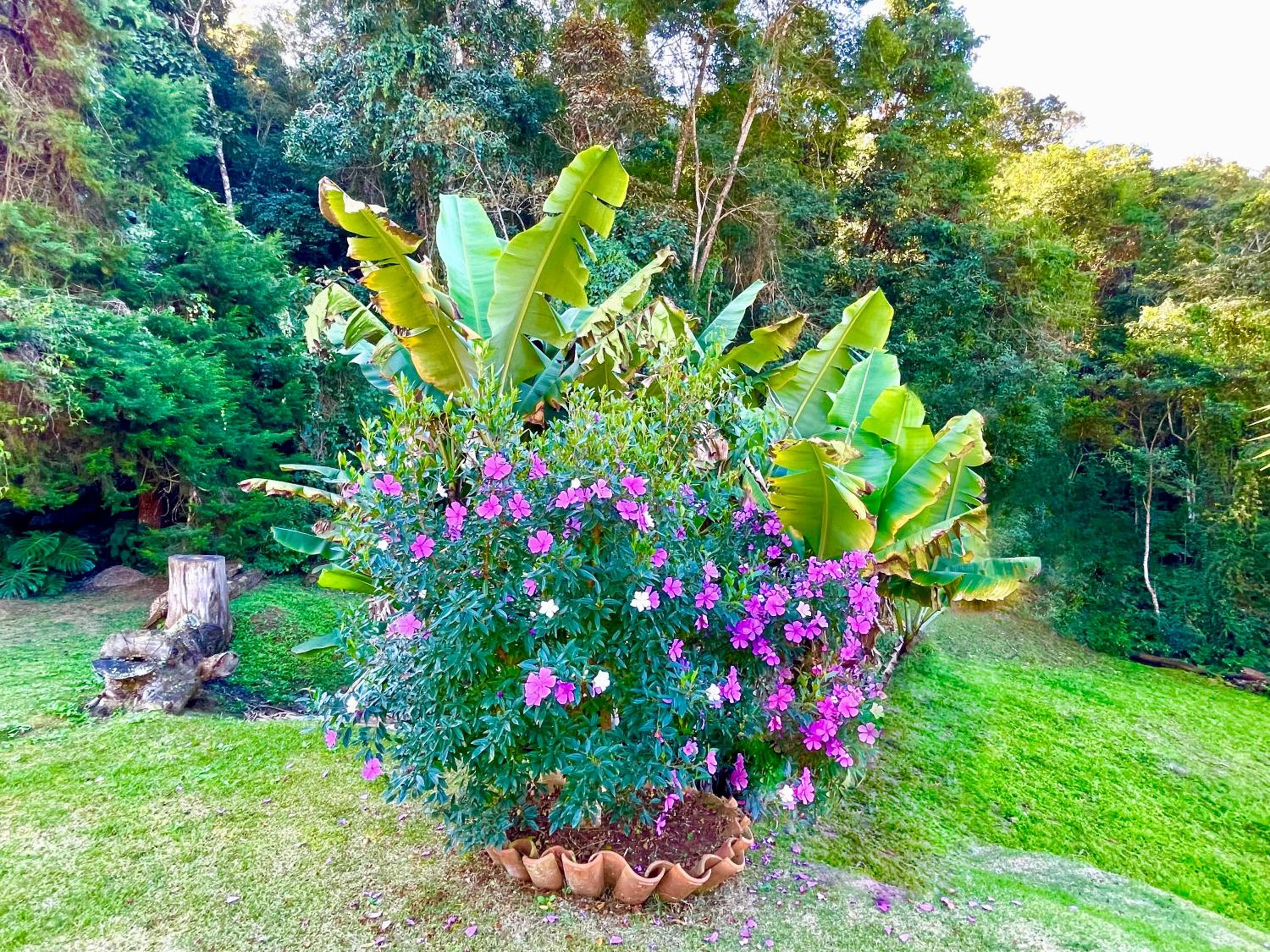 Sitio Haras Vitoria