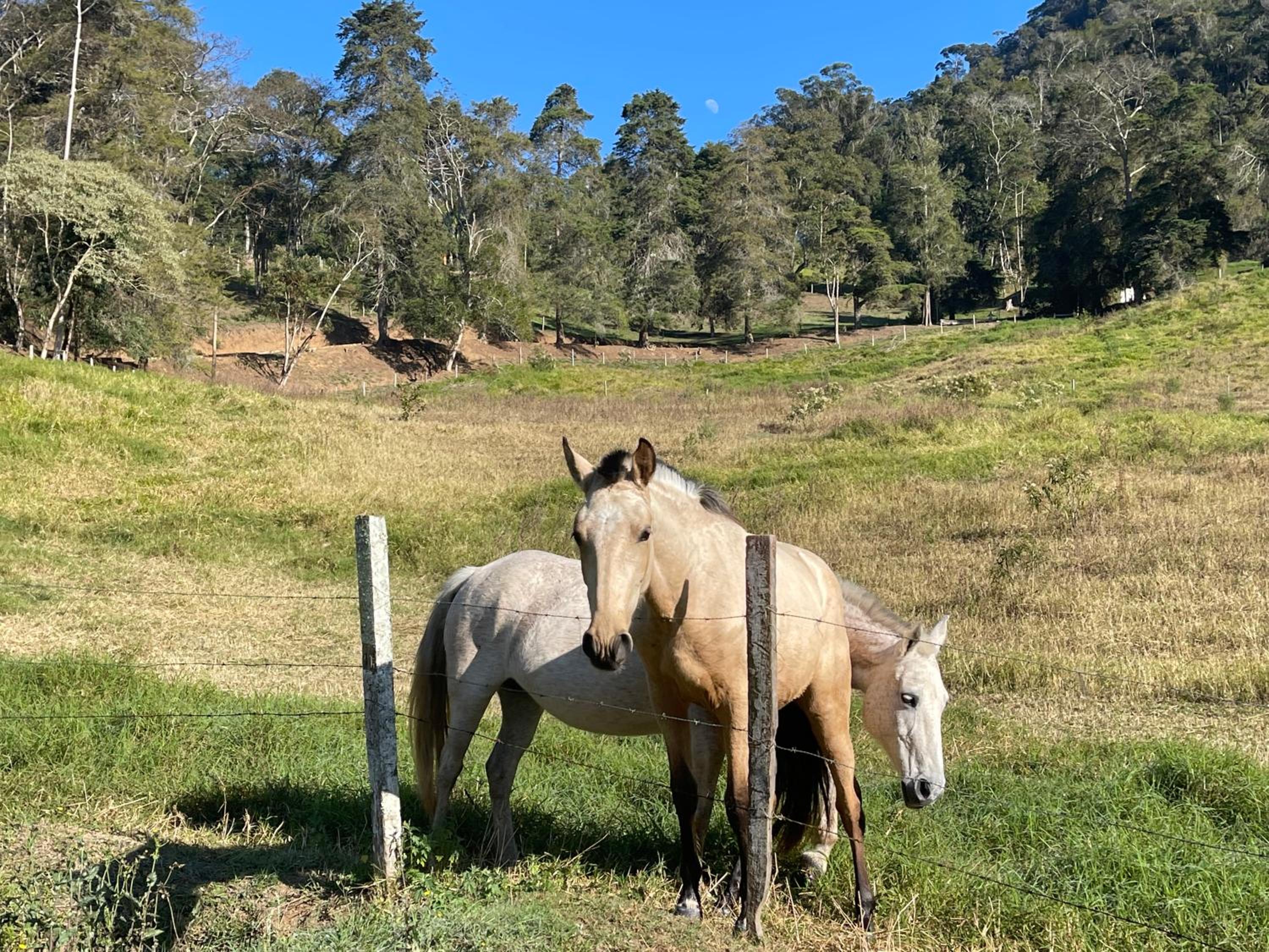 Sitio Haras Vitoria