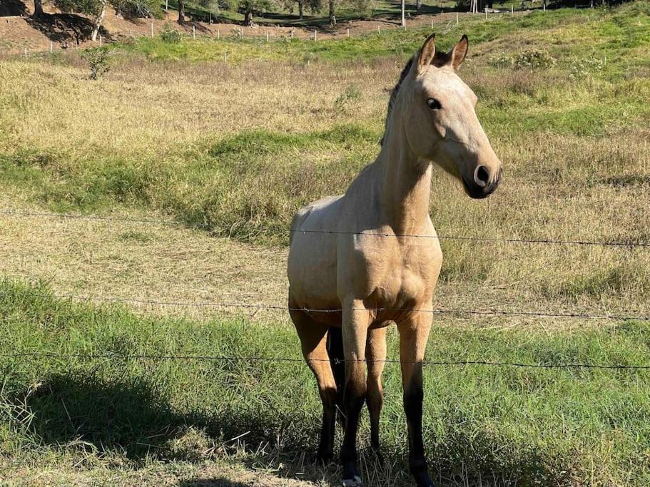 Sitio Haras Vitoria