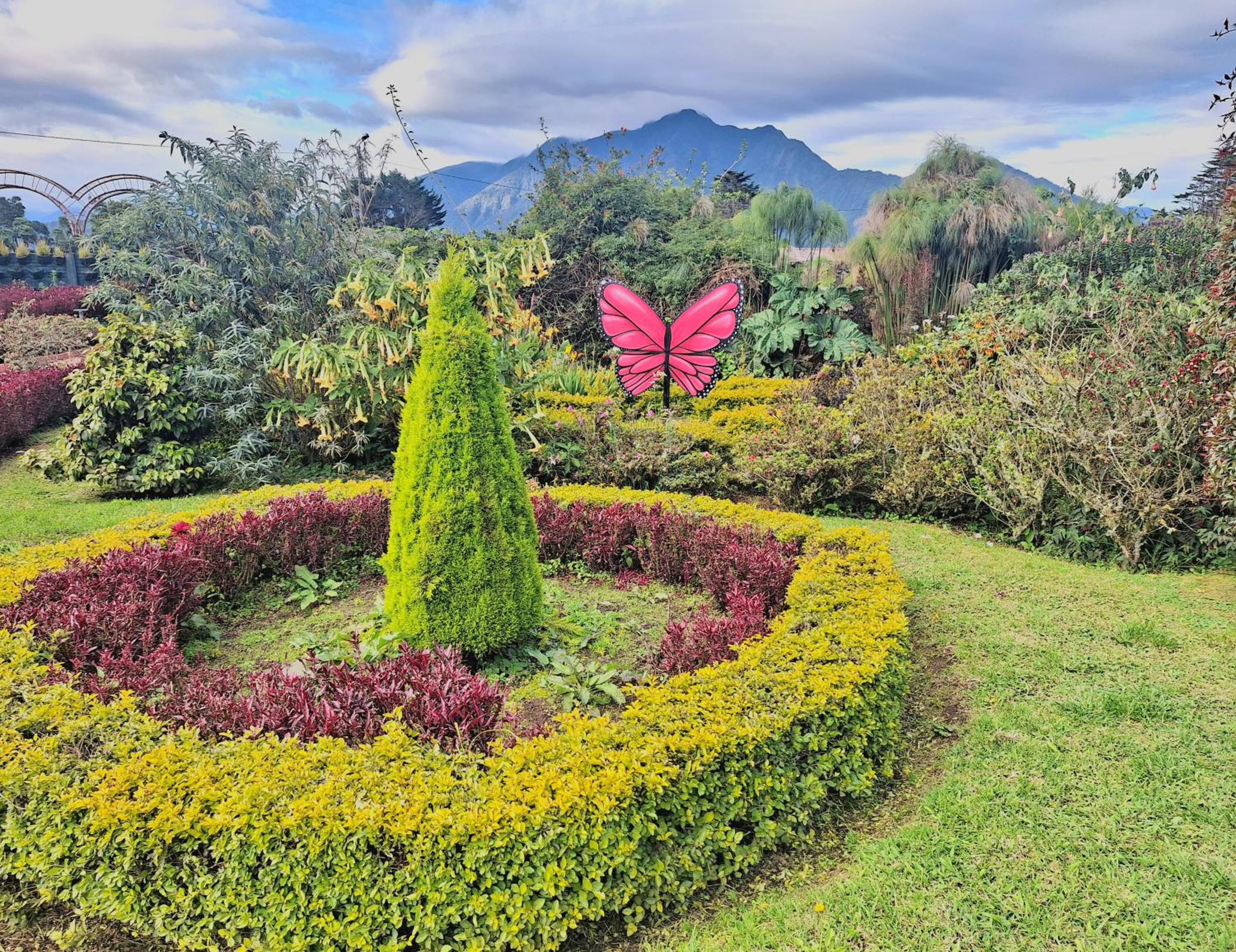 Paraiso Orquideario