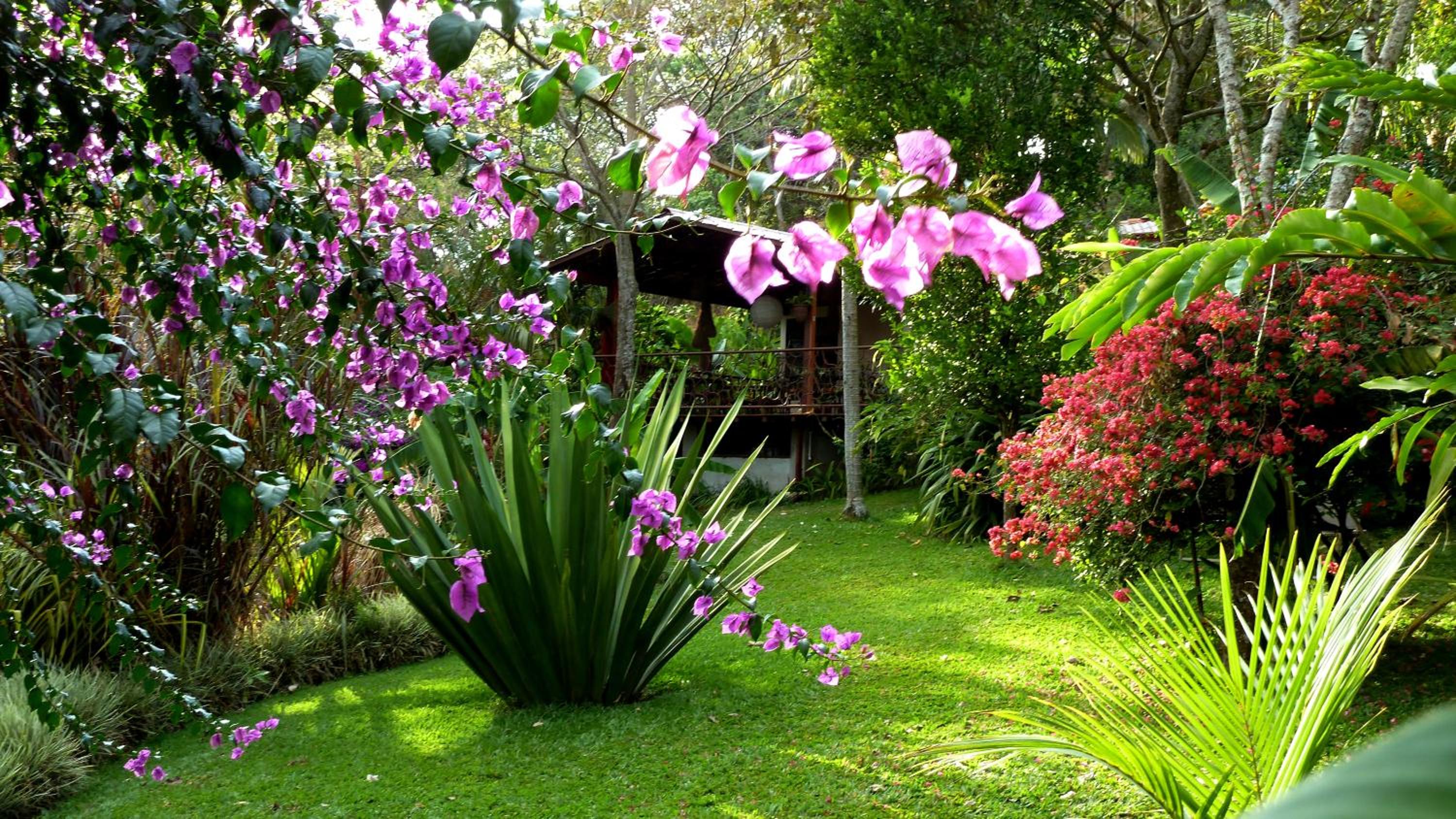 Tacacori EcoLodge