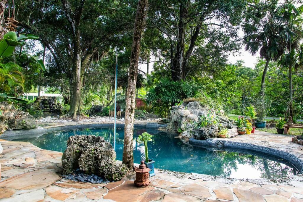 Studio in Paradise view 2