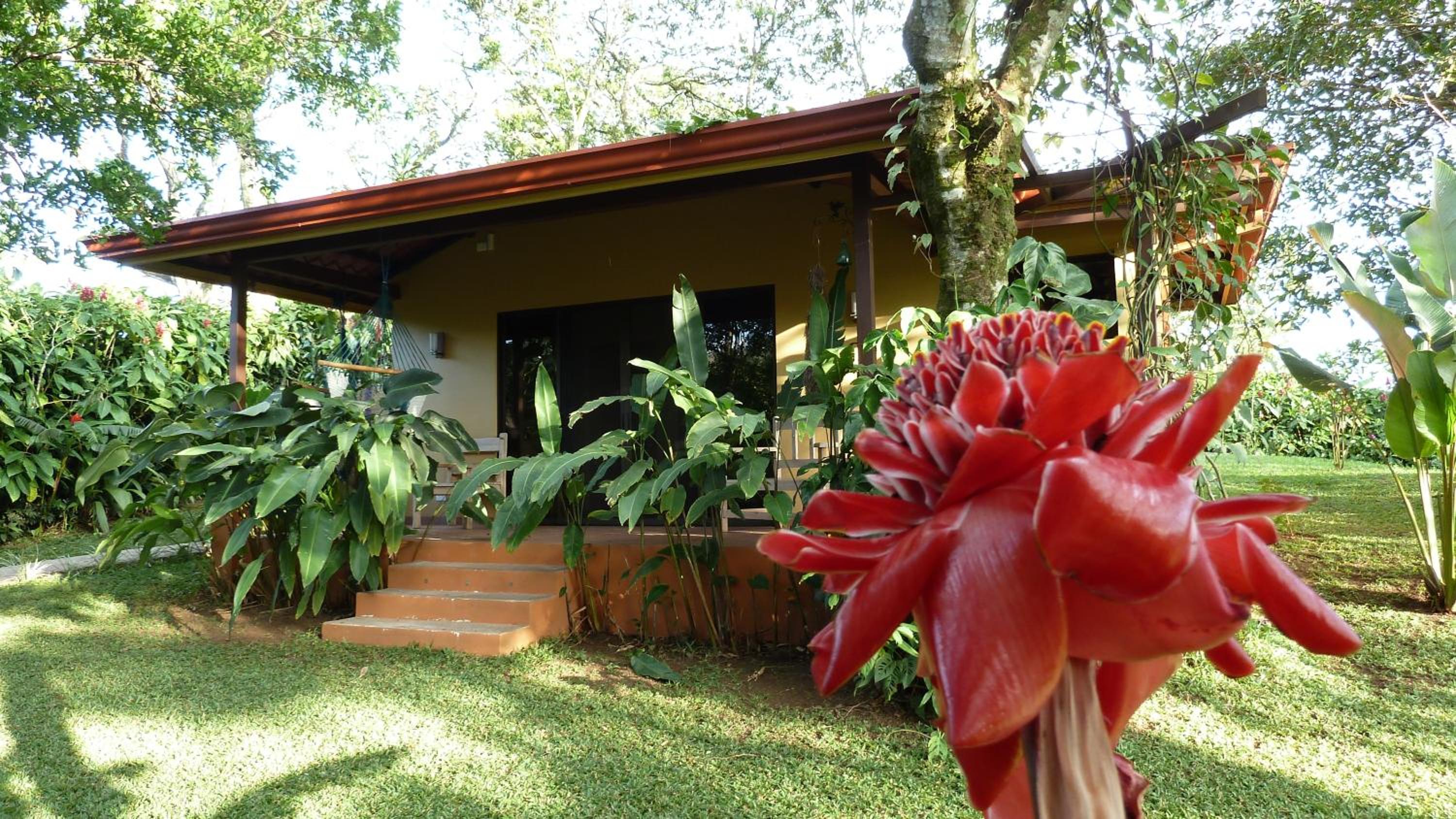 Tacacori EcoLodge