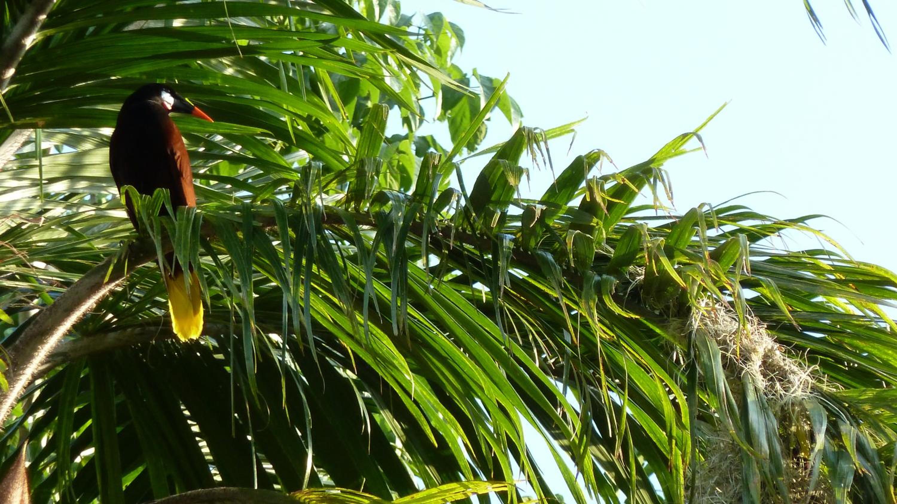 Tacacori EcoLodge