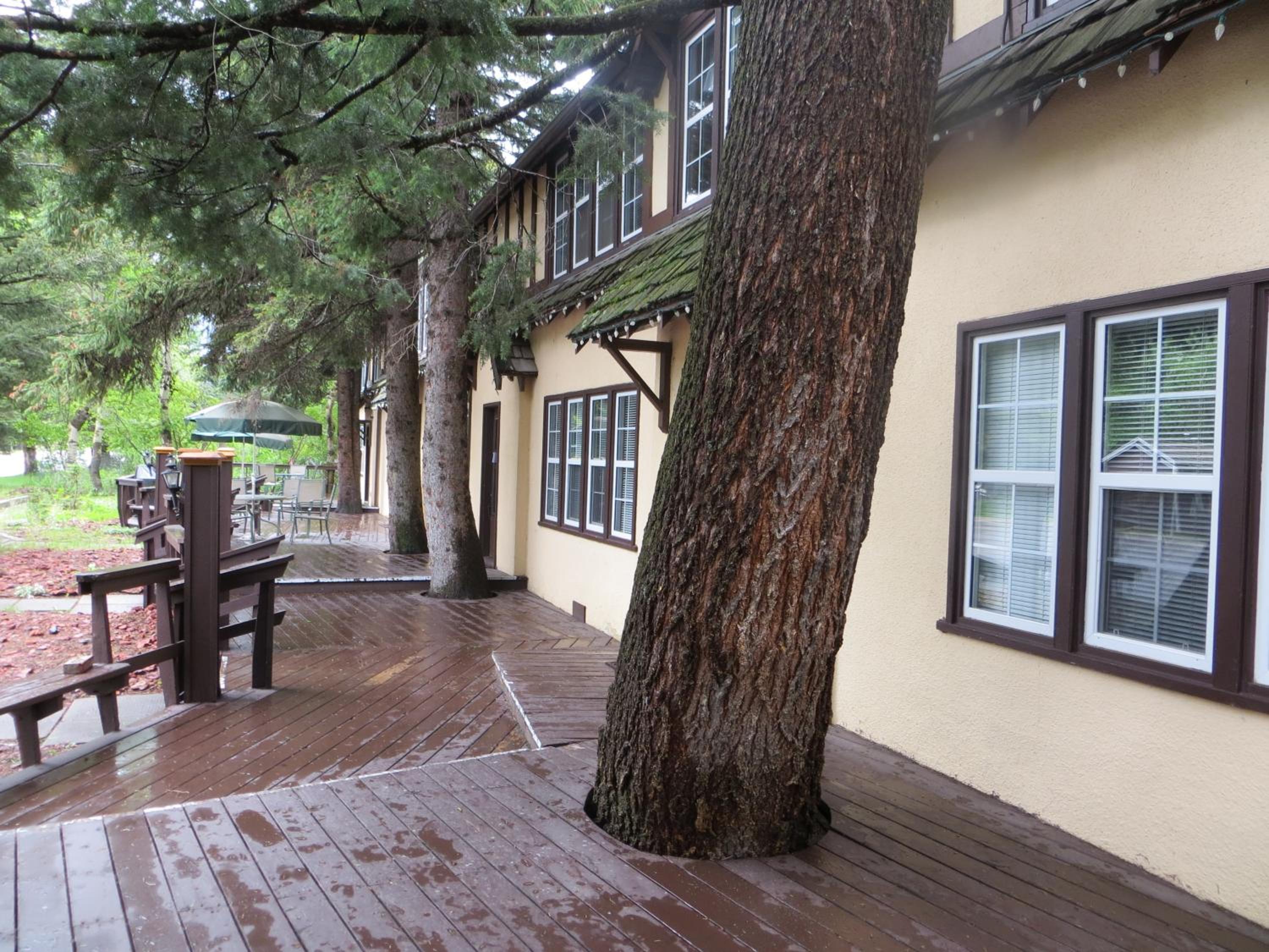 Crandell Mountain Lodge