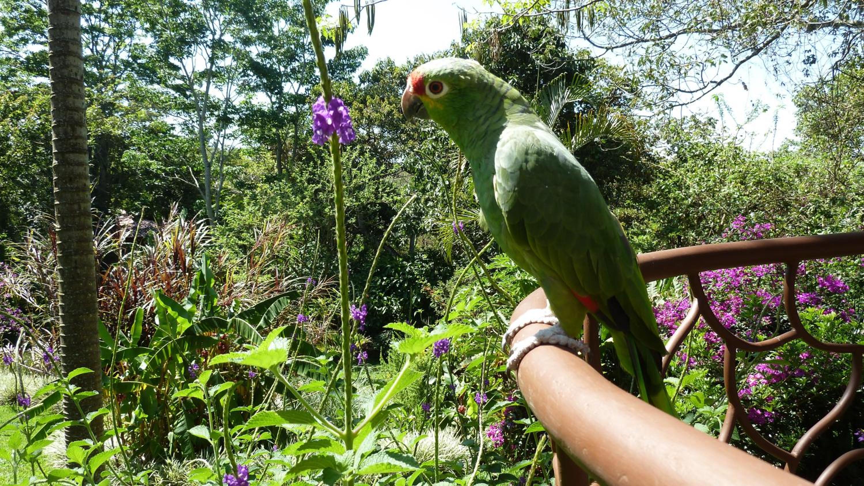 Tacacori EcoLodge