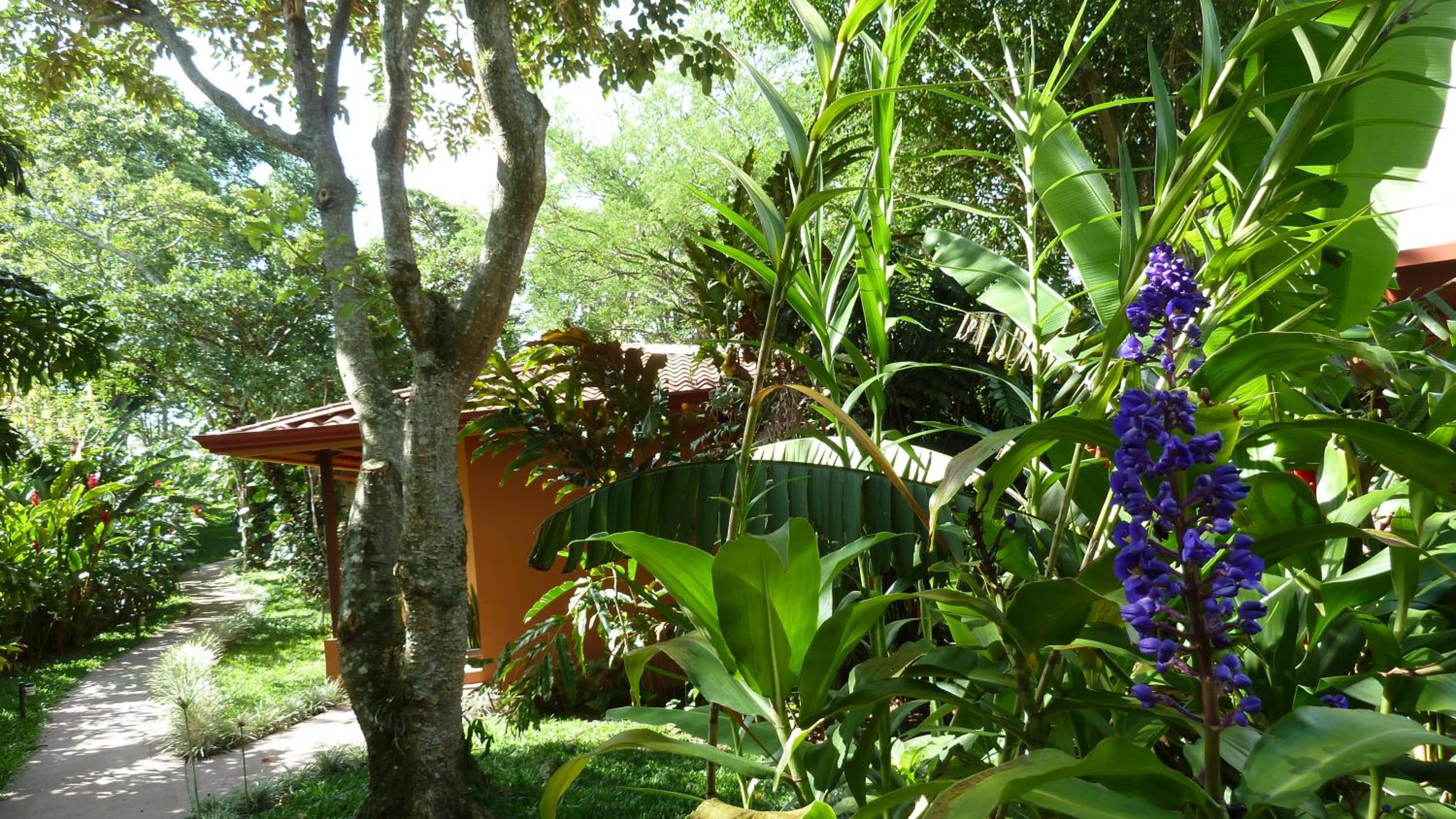 Tacacori EcoLodge