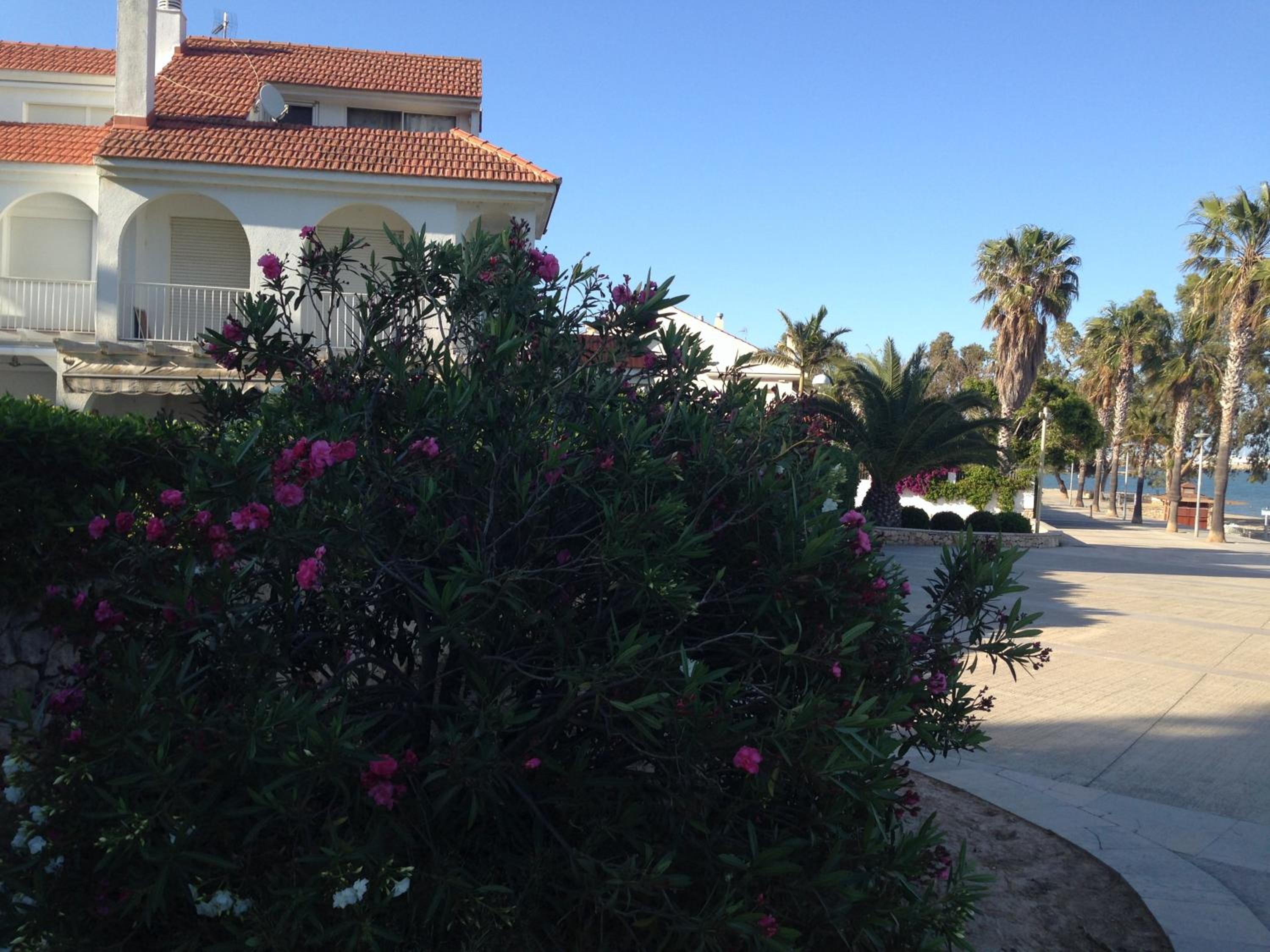 Ornis Apartments Platja