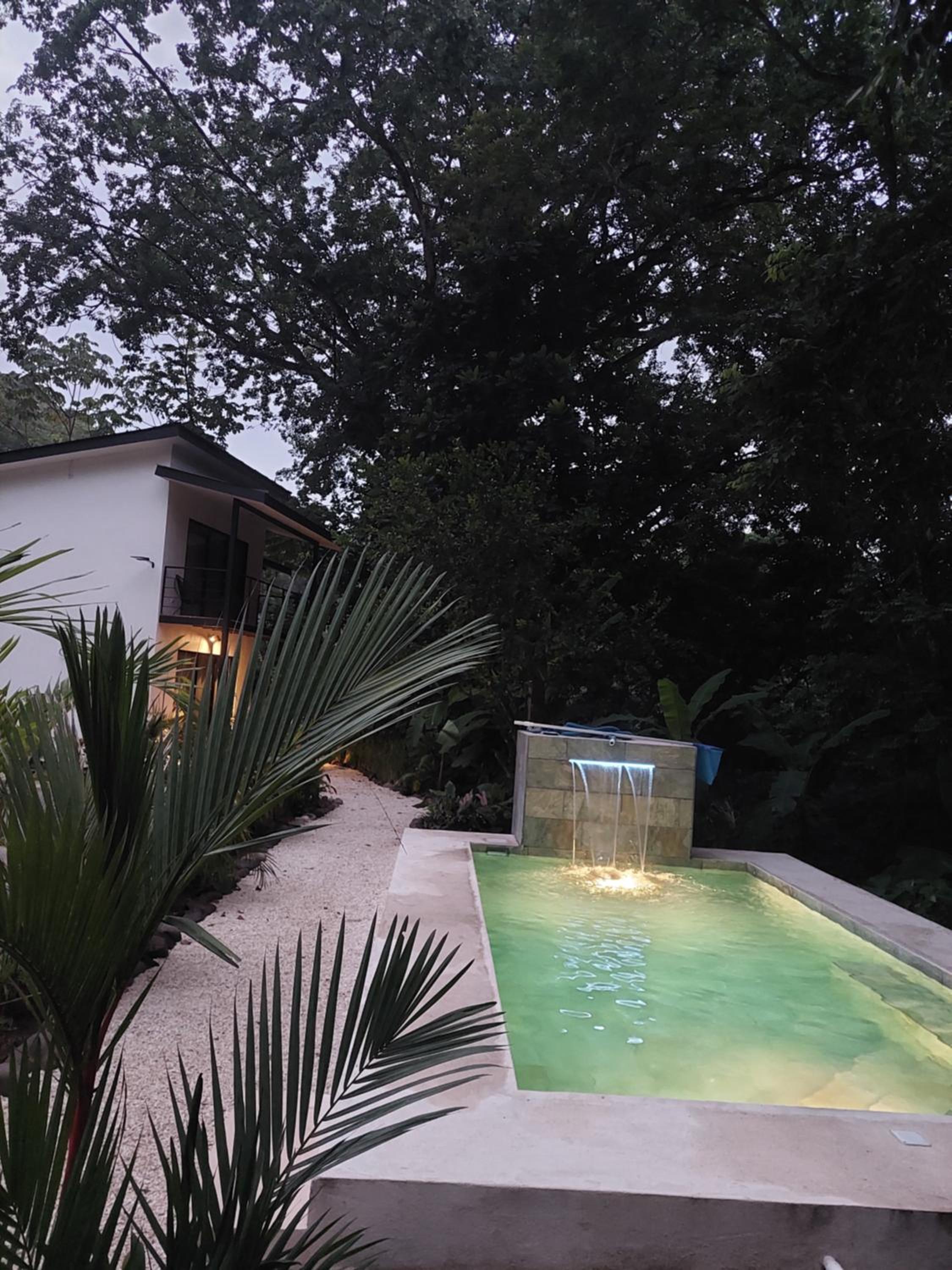 Vista Verde Surf & Studios - jungle View