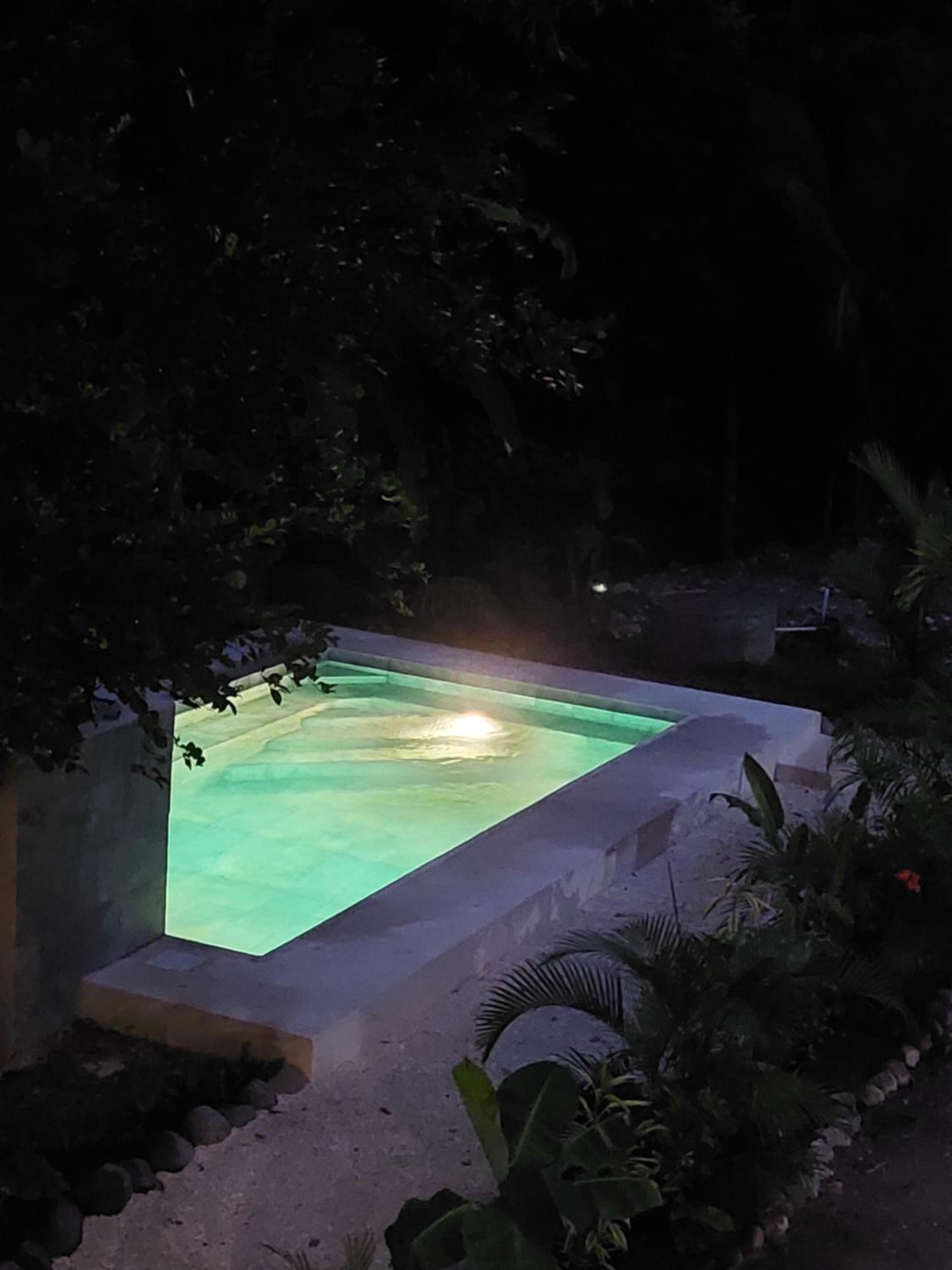 Vista Verde Surf & Studios - jungle View