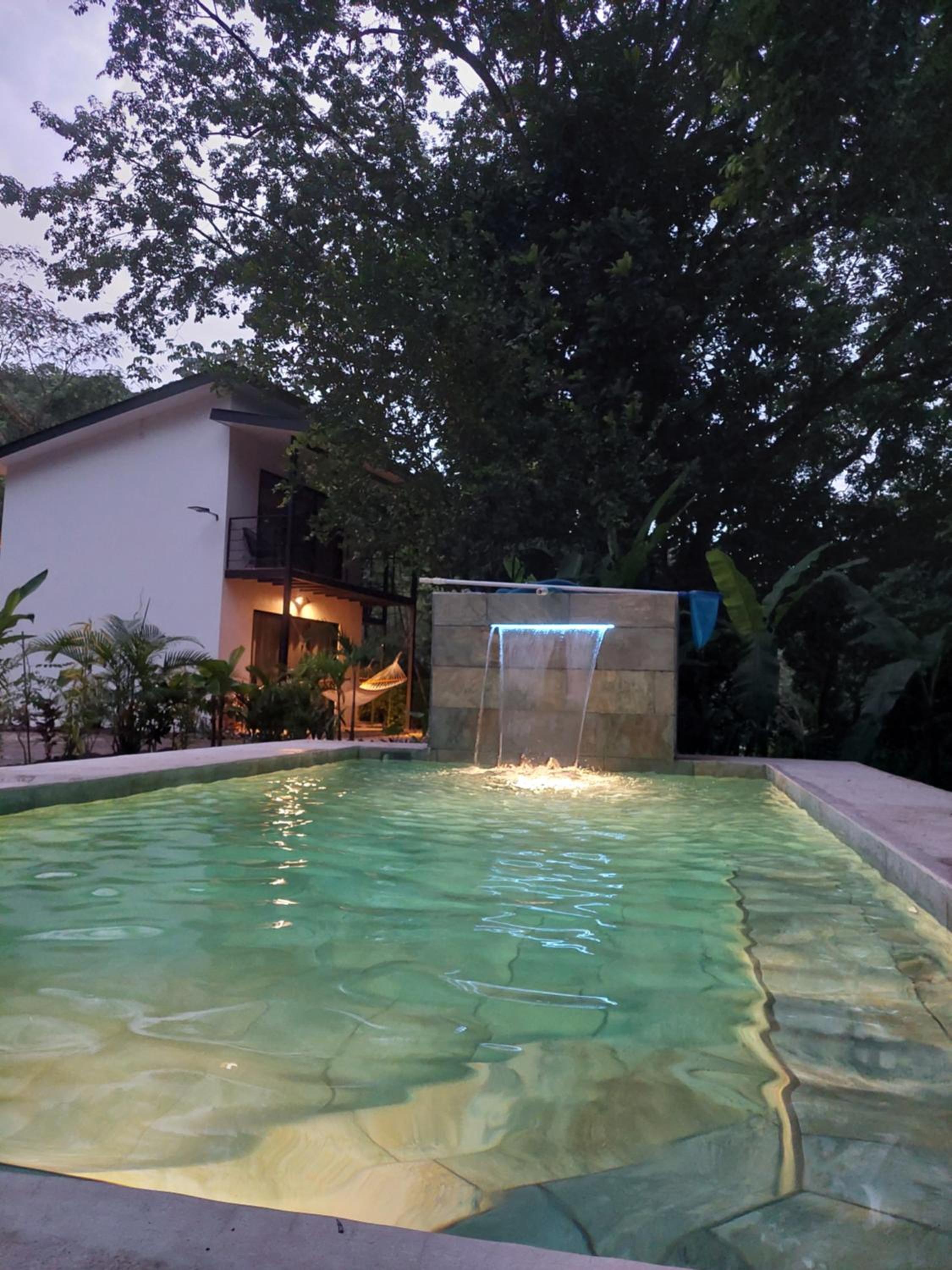 Vista Verde Surf & Studios - jungle View