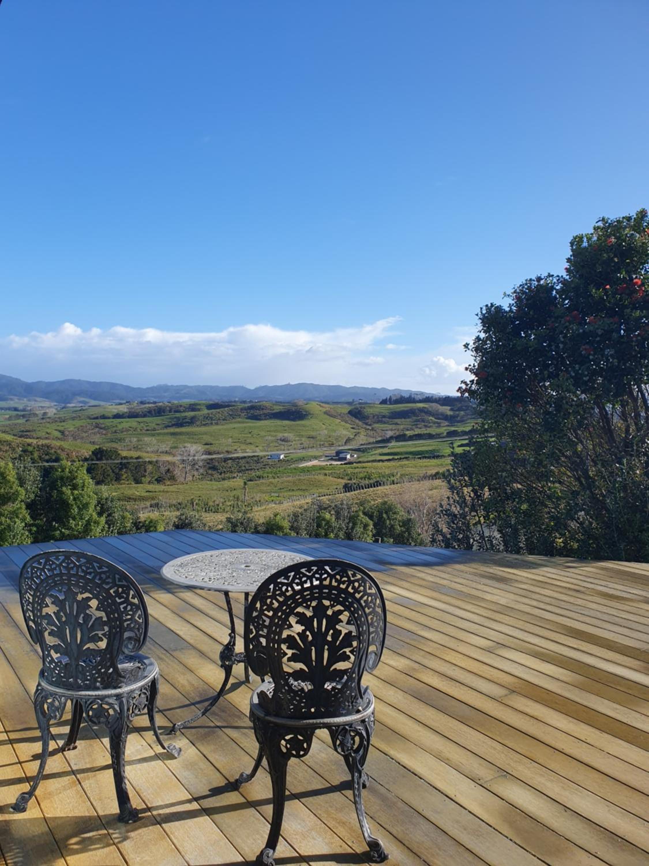 Vineyard Vacation