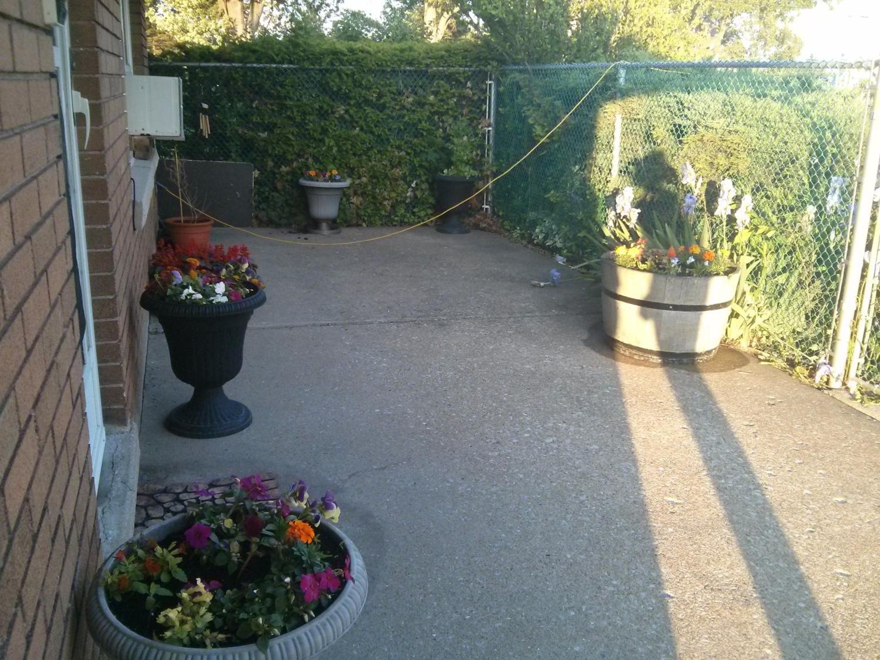 Photo 29