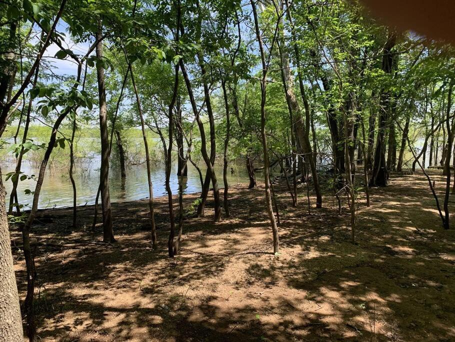 Cozy Cottage • King Bed • Grove • Kayaks • Boat Parking view 4