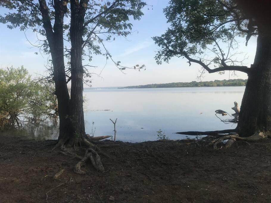 Cozy Cottage • King Bed • Grove • Kayaks • Boat Parking view 5
