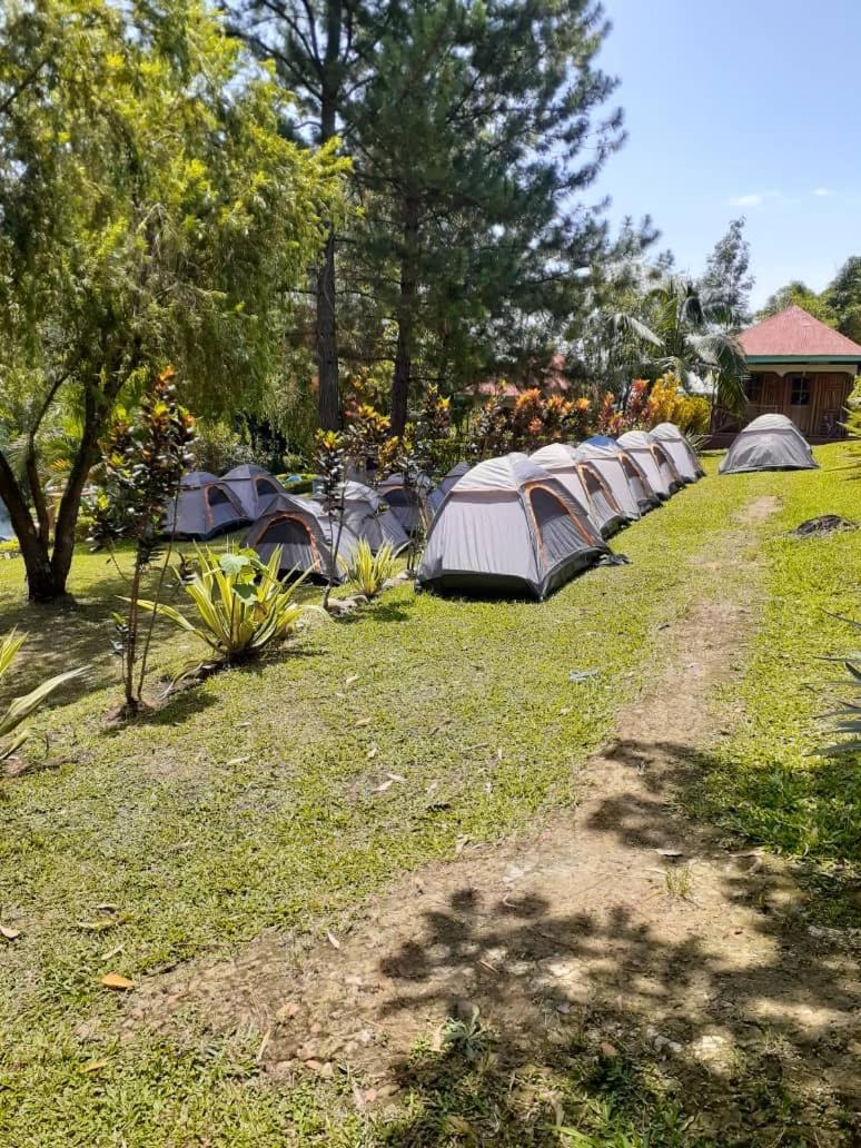 Noah's Ark Campsite & Restaurant view 2