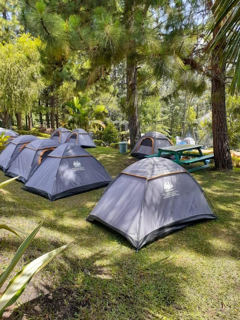 Noah's Ark Campsite & Restaurant view 3