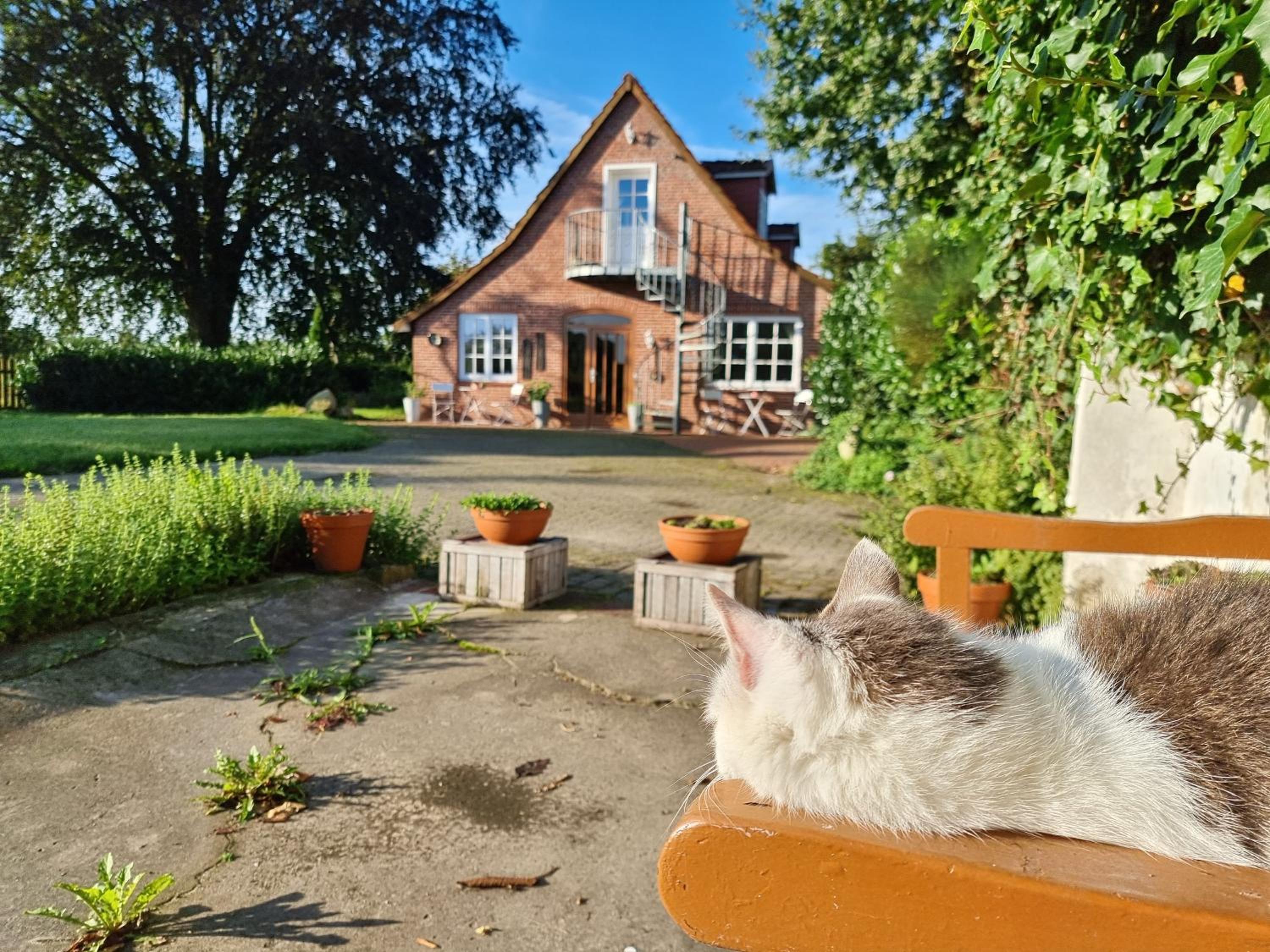 200 Jahre altes Landhaus mit Tieren
