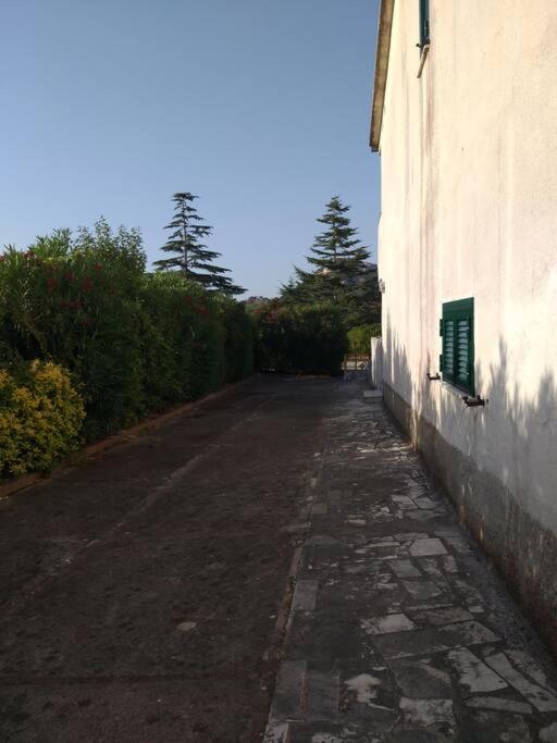 Villetta a schiera con giardino e terrazza-S.Marco di C.te