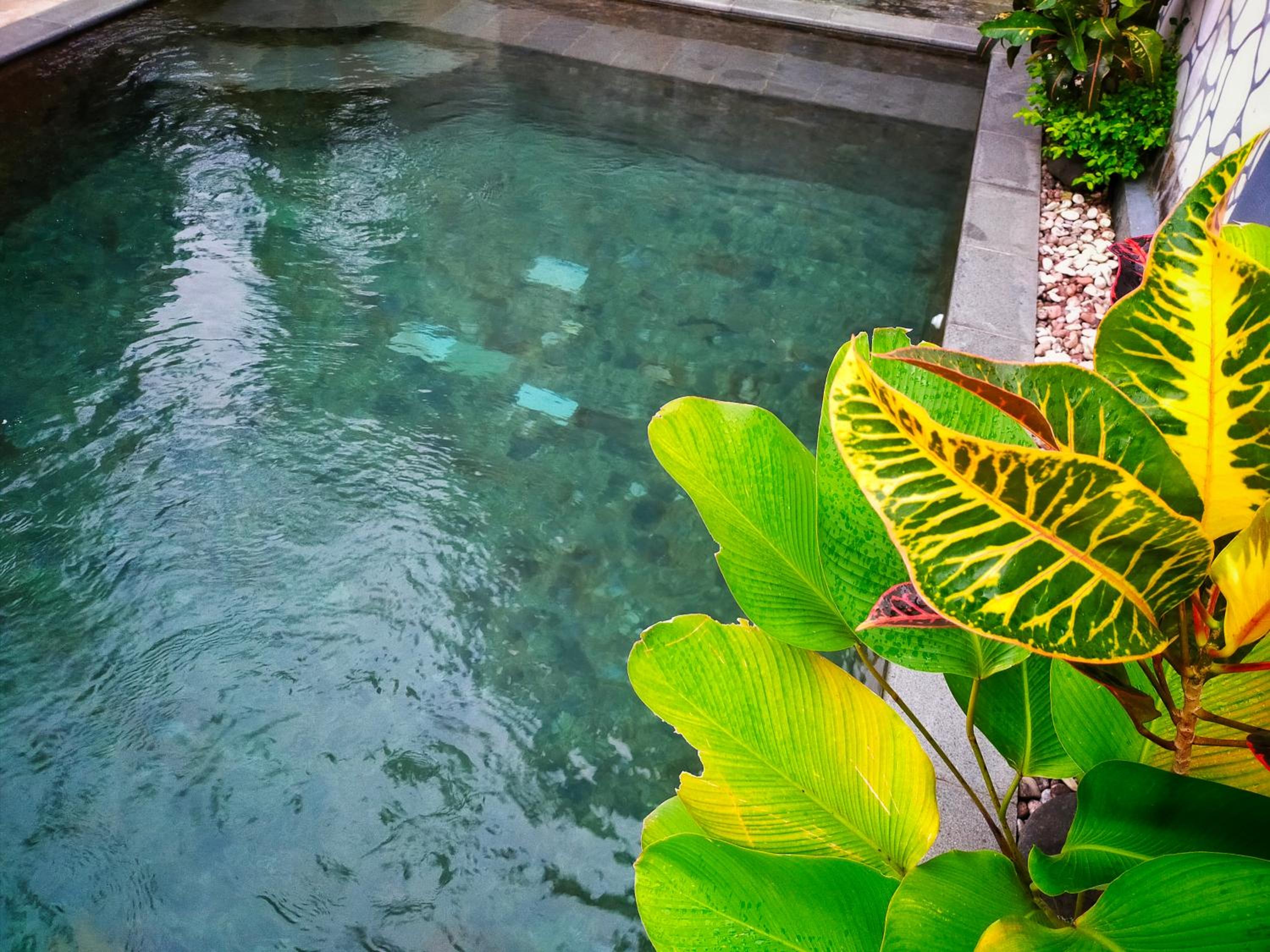 AUREIRIN Guesthouse