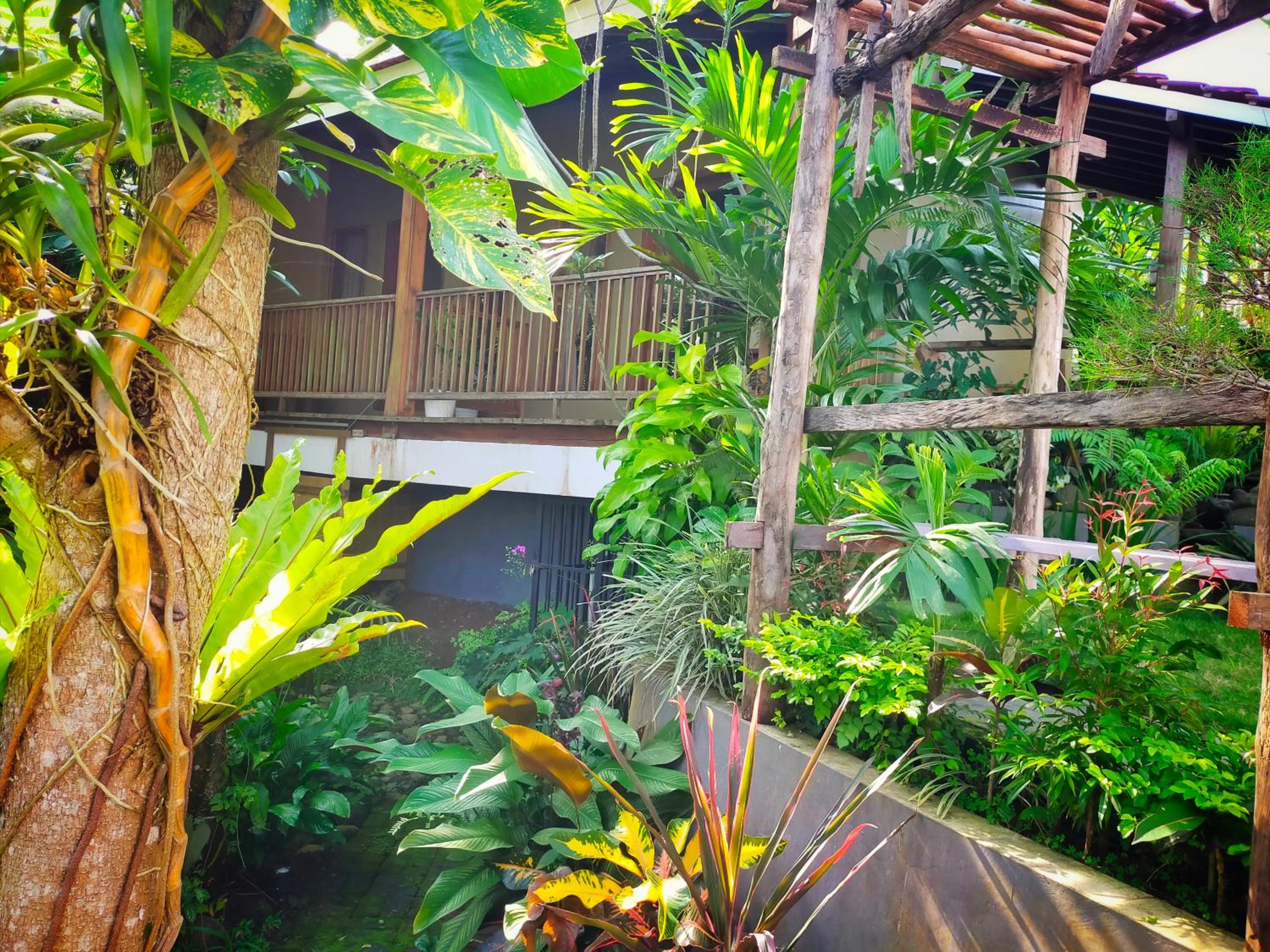 AUREIRIN Guesthouse