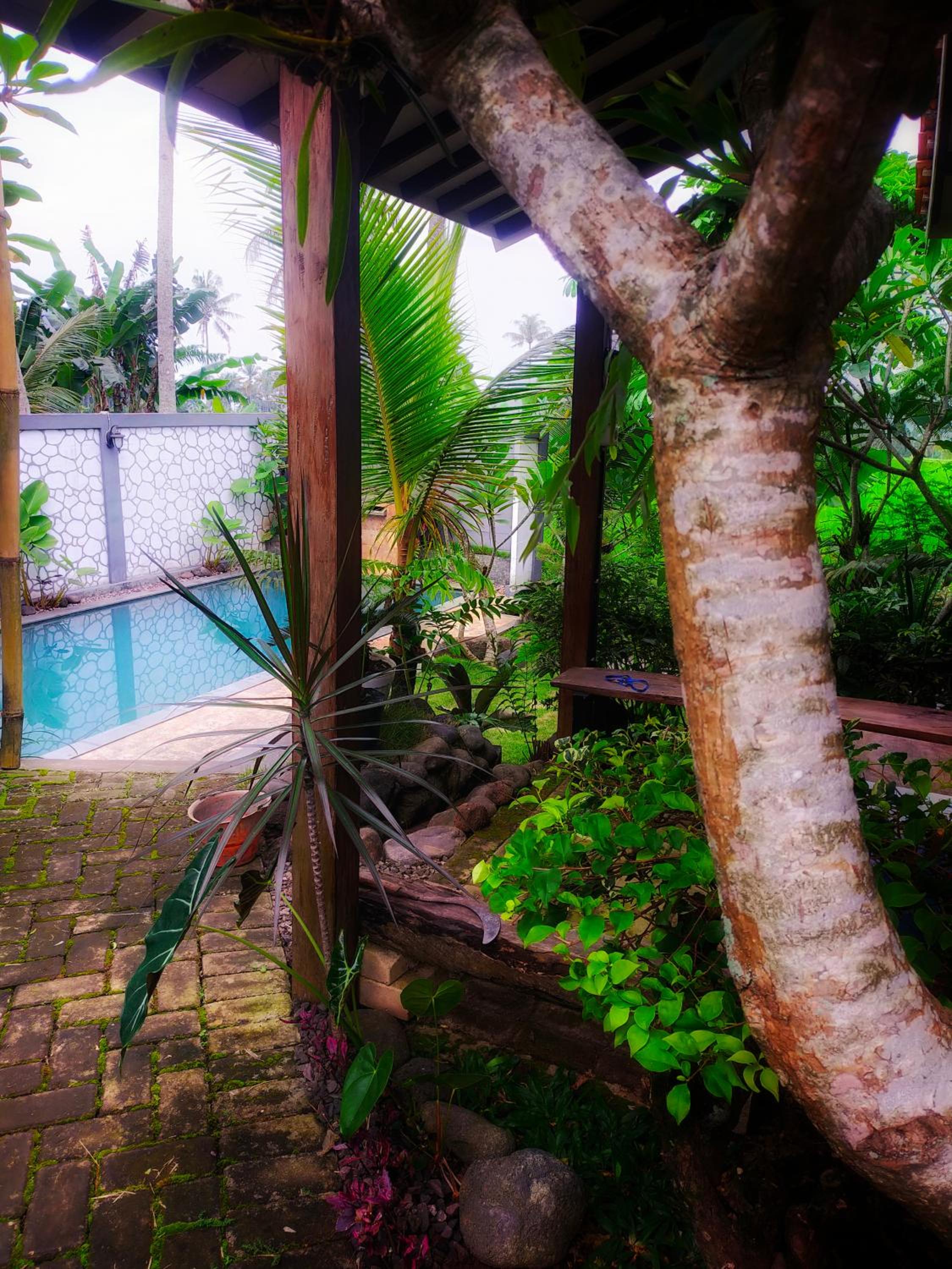 AUREIRIN Guesthouse