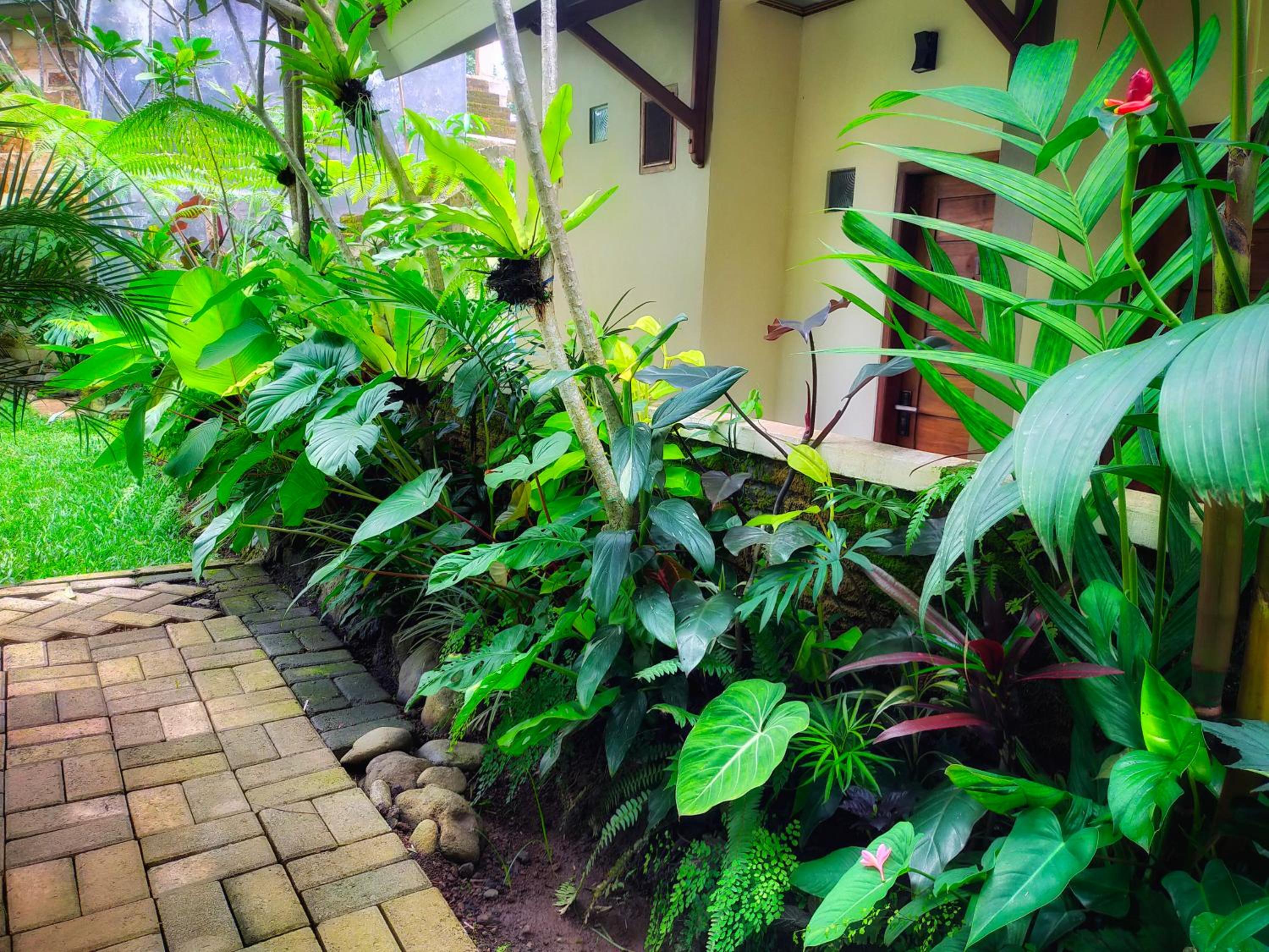 AUREIRIN Guesthouse