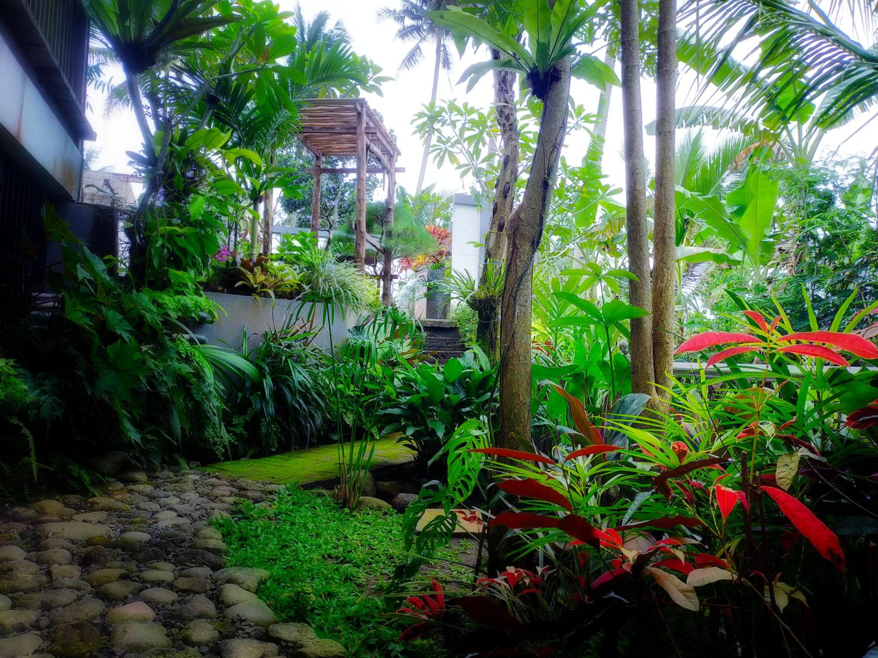 AUREIRIN Guesthouse