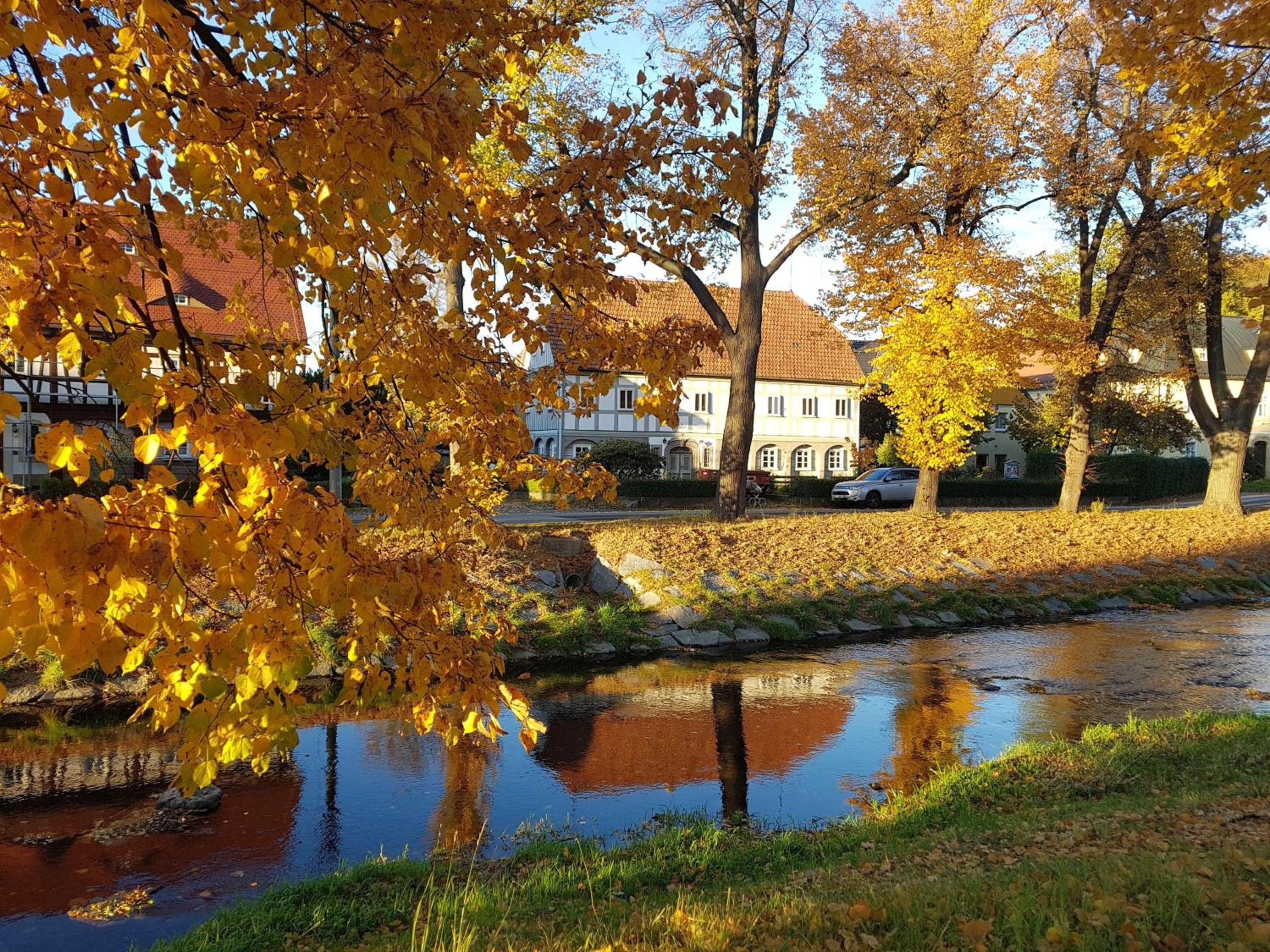 Auf-der-Muehlwiese